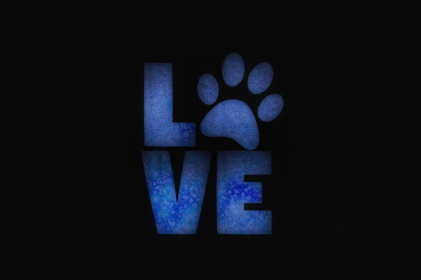 Wallpapers love of animals paw bukvy on the desktop