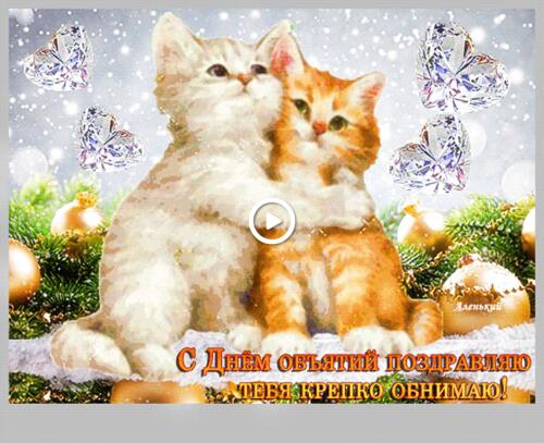 cats kittens two hugs