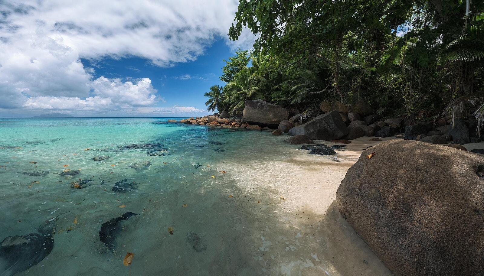 Wallpapers Mahe Island Seychelles sea on the desktop