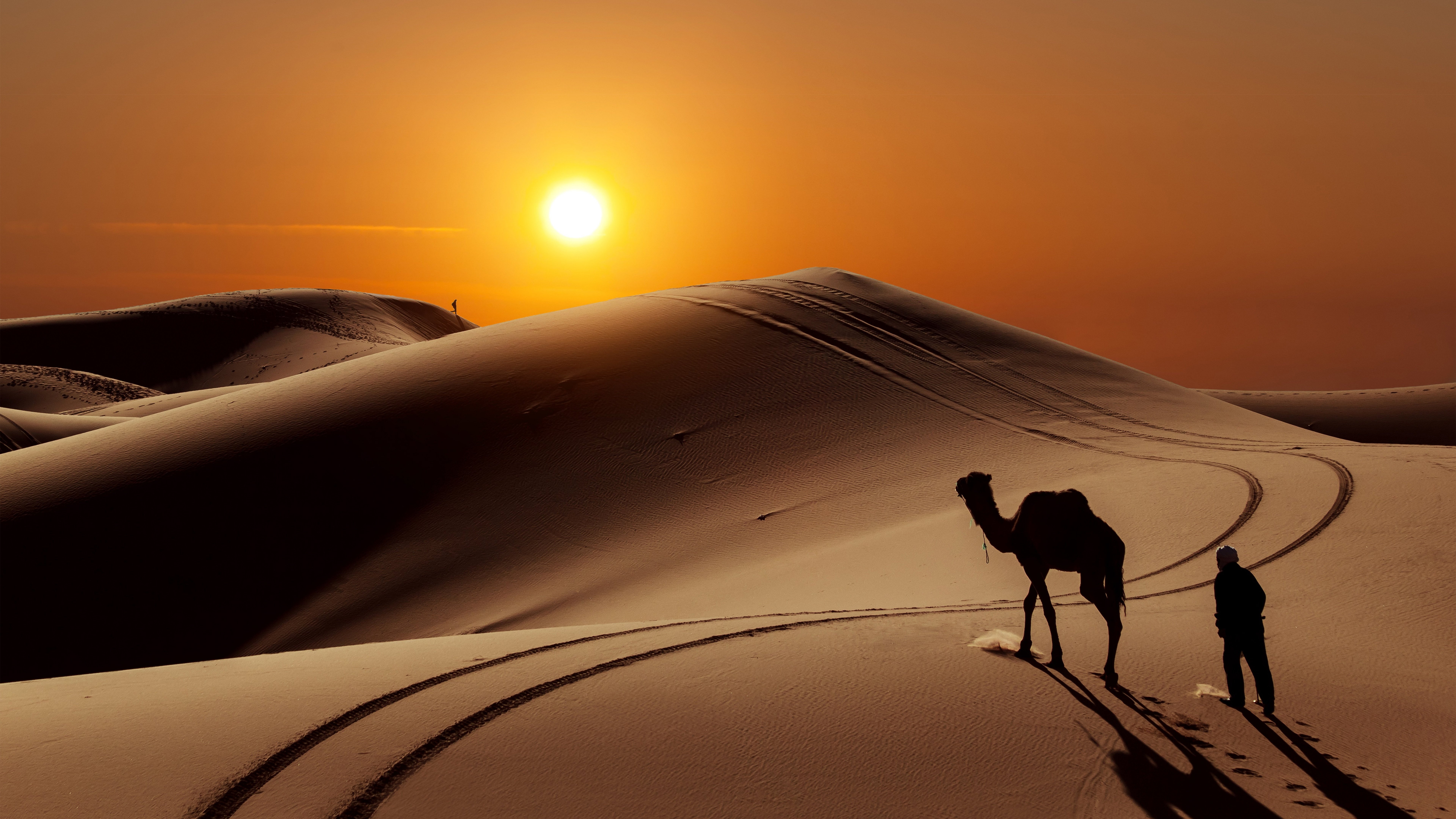 Wallpapers camel desert people on the desktop