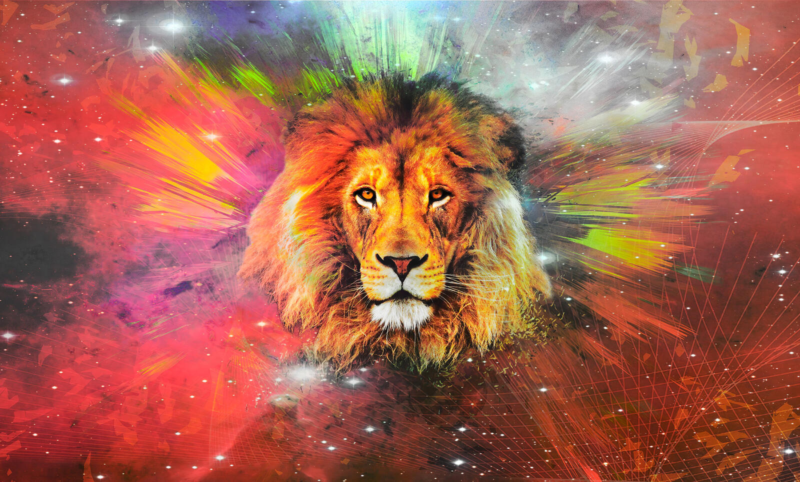 Wallpapers lion artist artwork on the desktop