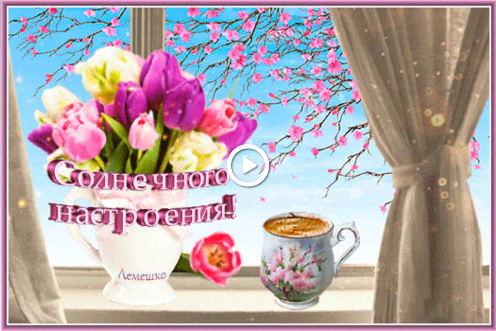 tulip bouquet cup of coffee there`s a tree in bloom outside the window