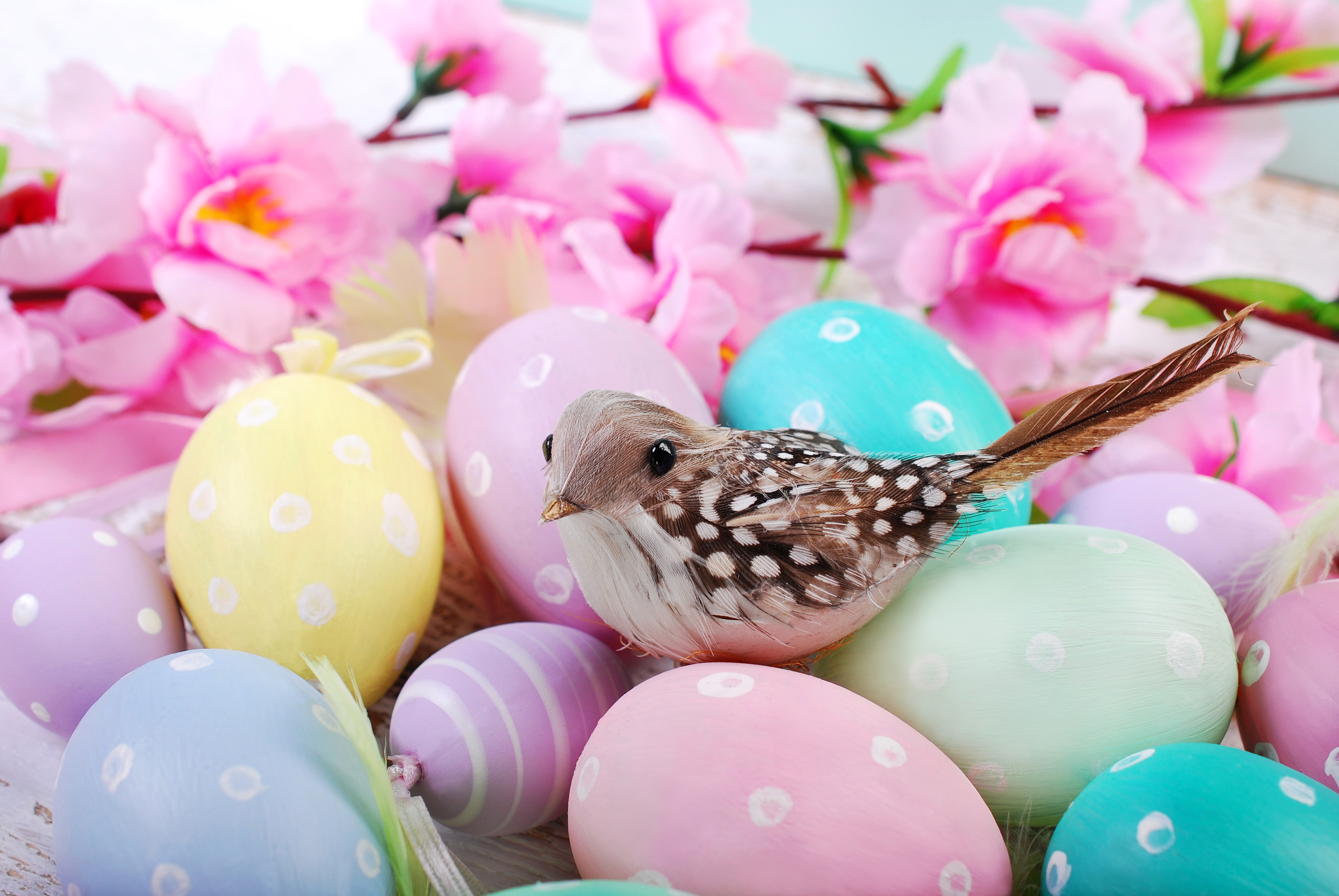 Фото бесплатно цветные яйца, птичка, цветы