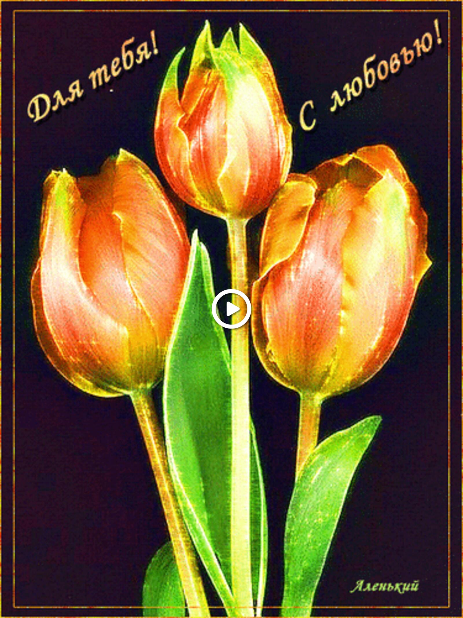 A postcard on the subject of flowers lovingly tulips for free