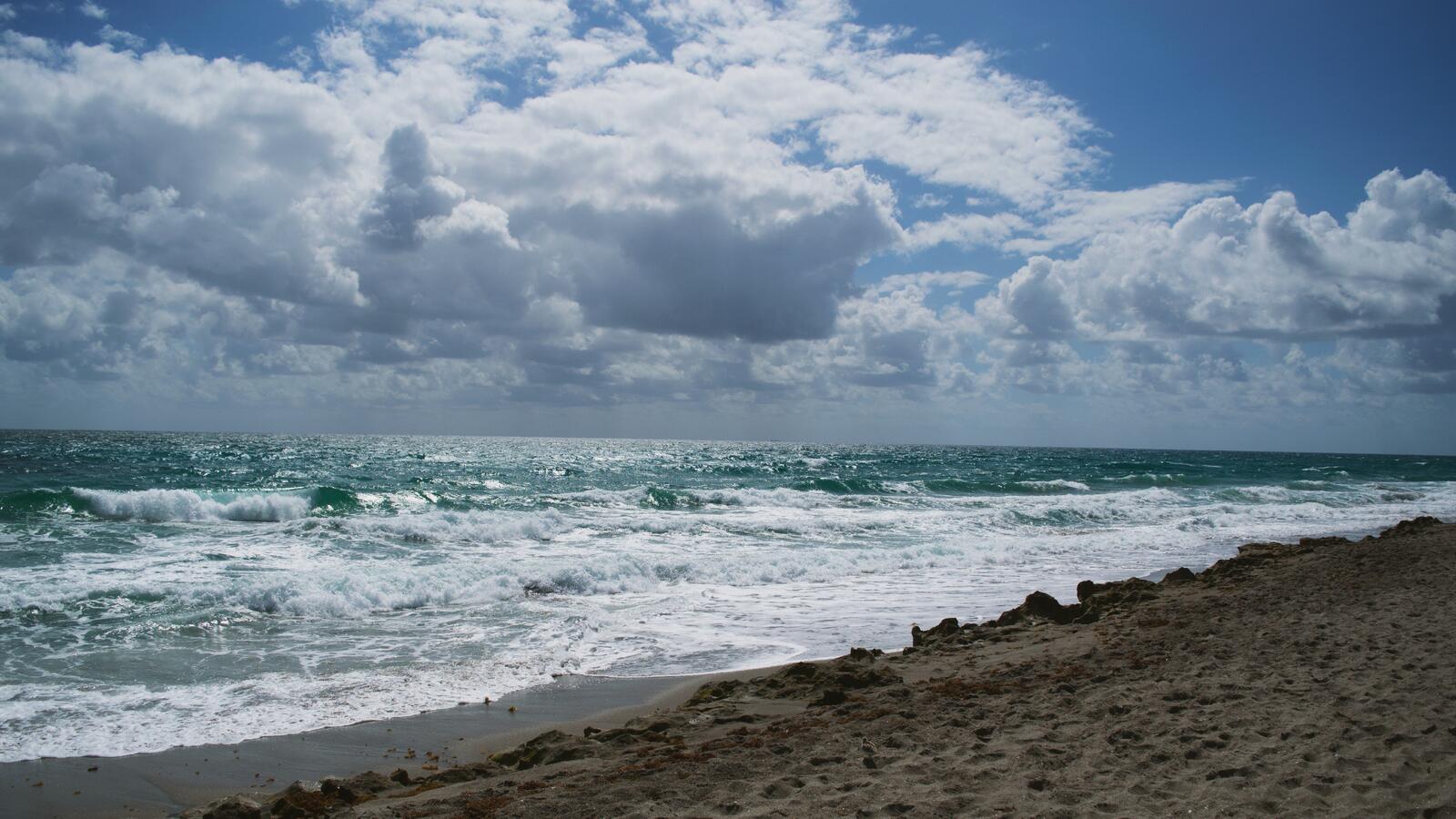 Бесплатное фото Дикий пляж у моря