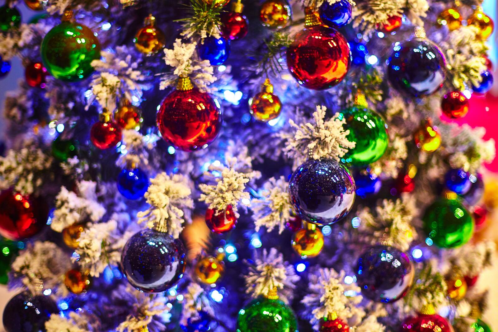 Бесплатное фото Рождественская елка