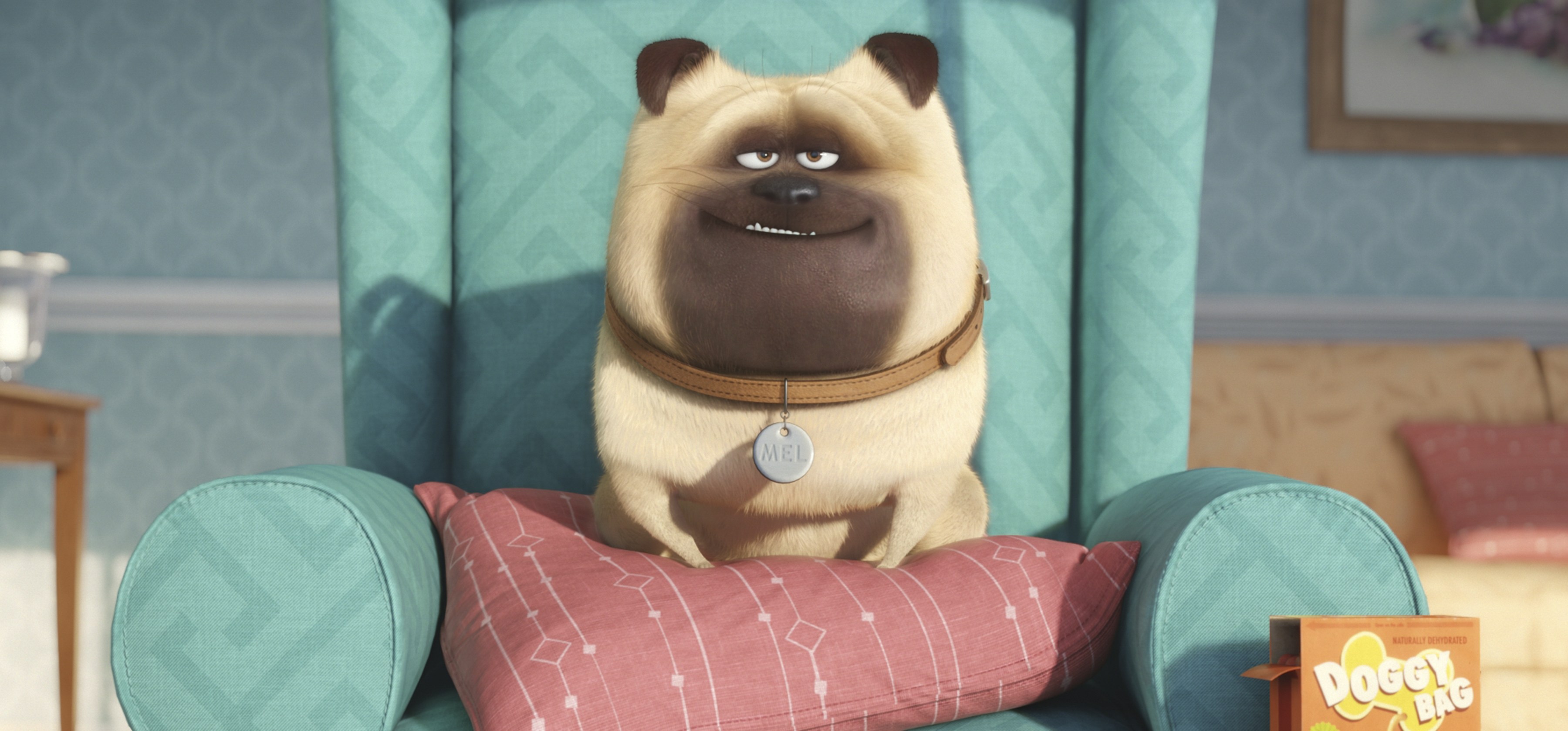 Wallpapers The Secret Life Of Pets dog animated movies on the desktop