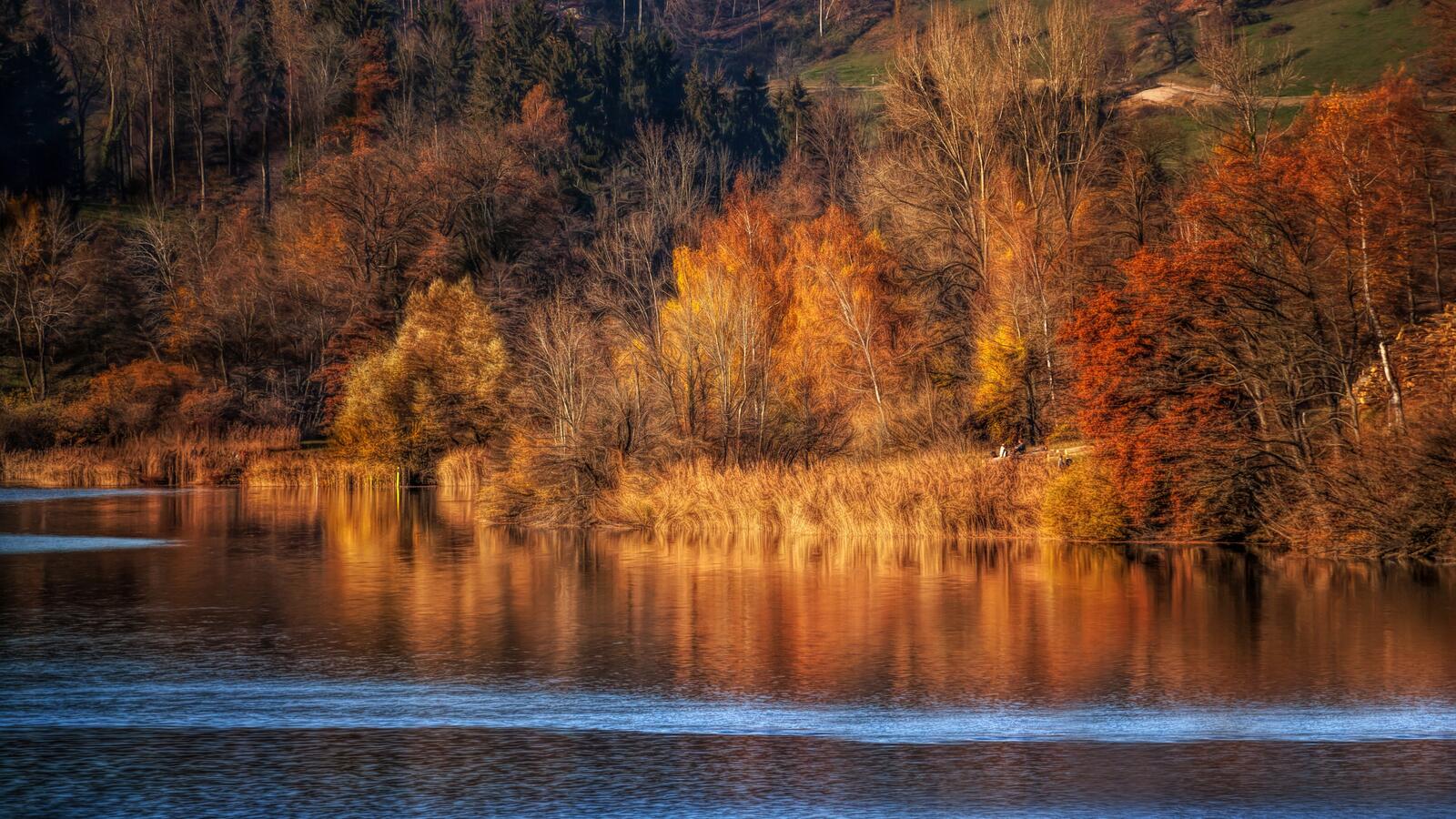 Wallpapers autumn calmness river on the desktop