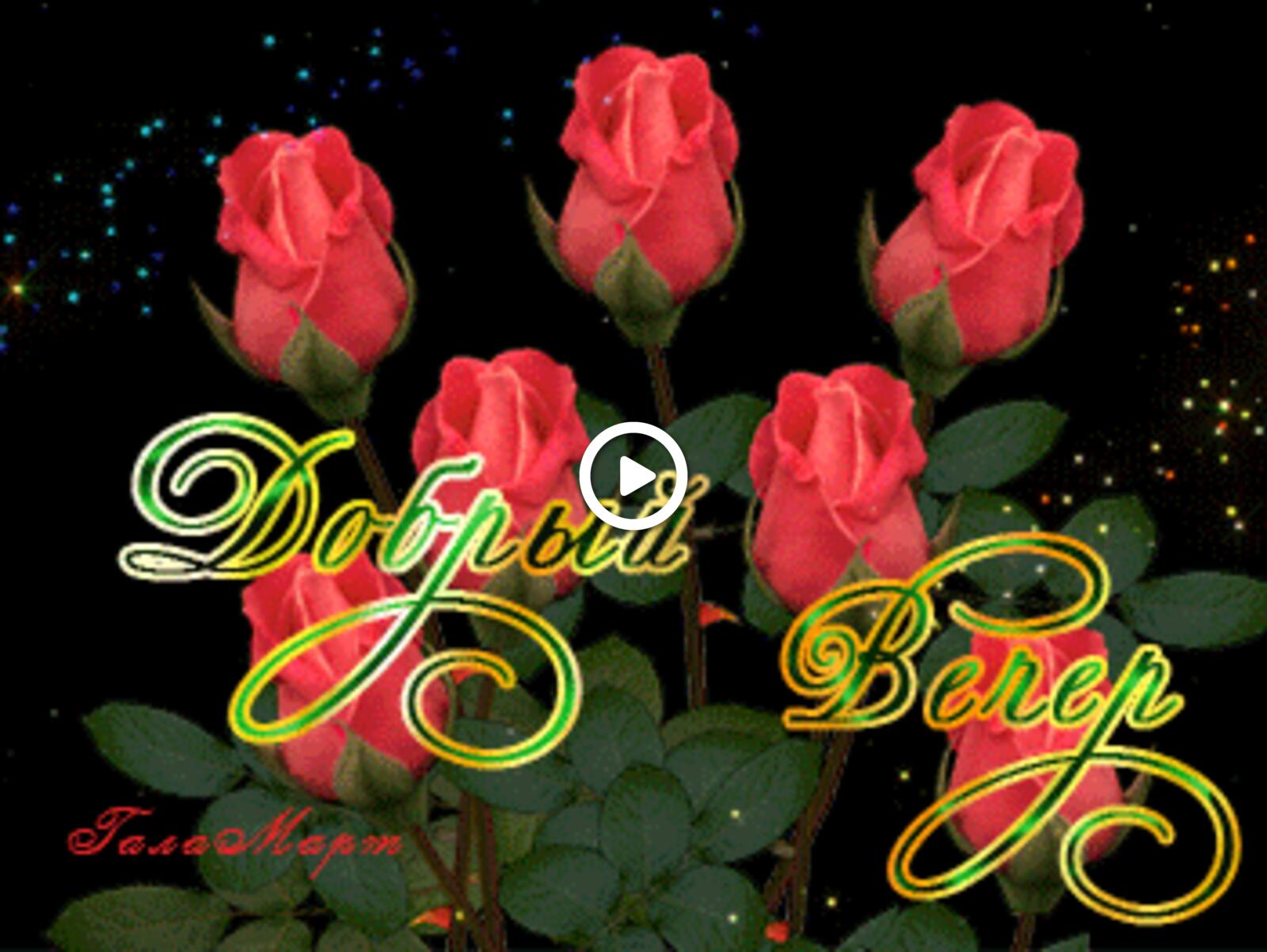 Открытка на тему красные розы букет роз открытки добрый вечер бесплатно