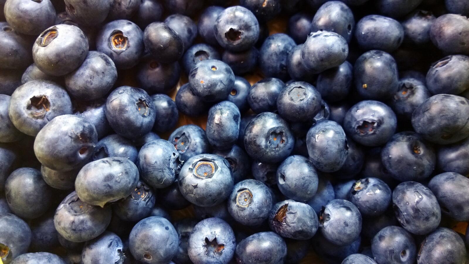 桌面上的壁纸蓝莓 陆生植物 产品
