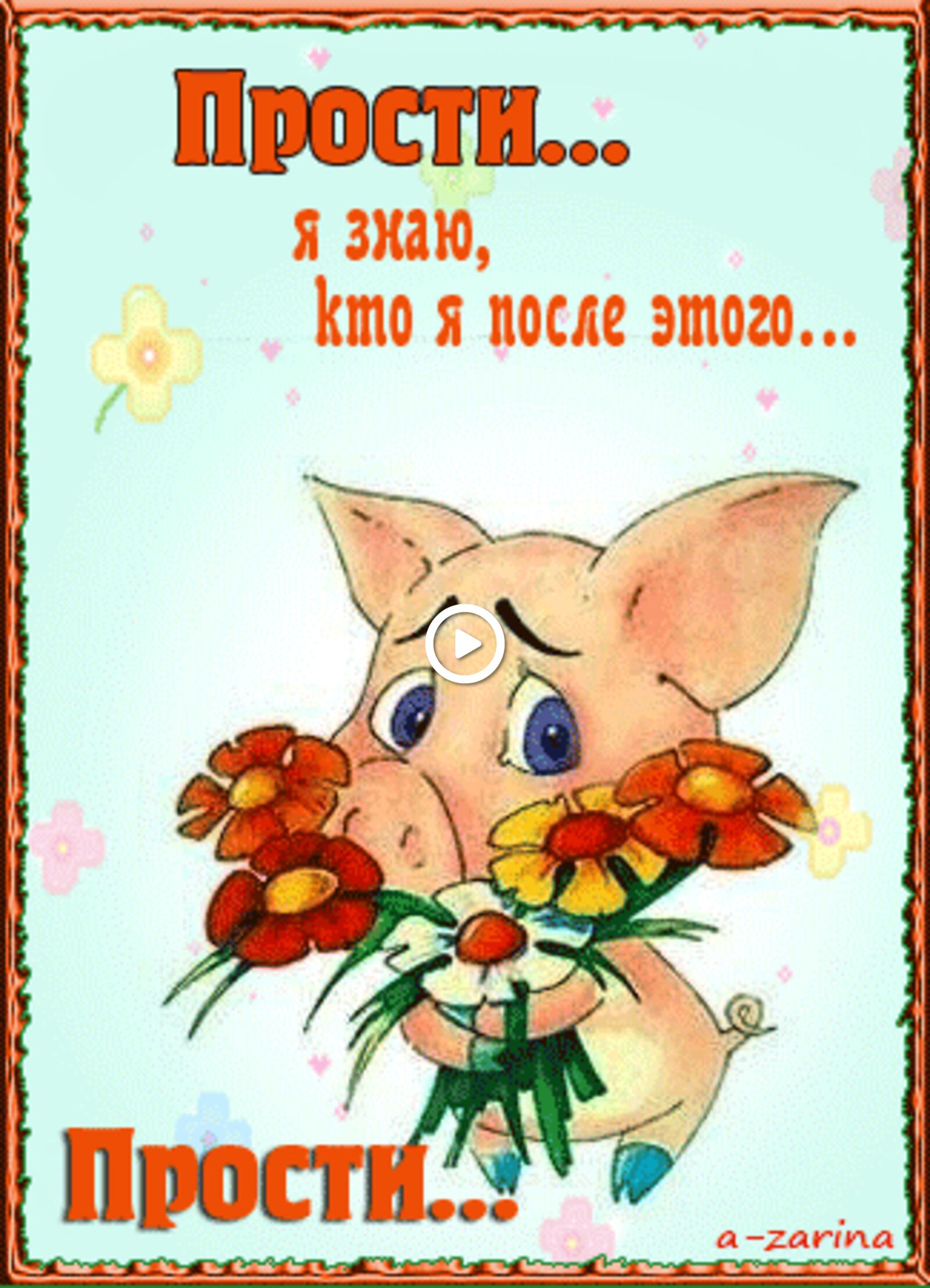 A postcard on the subject of sorry flowers piggy for free