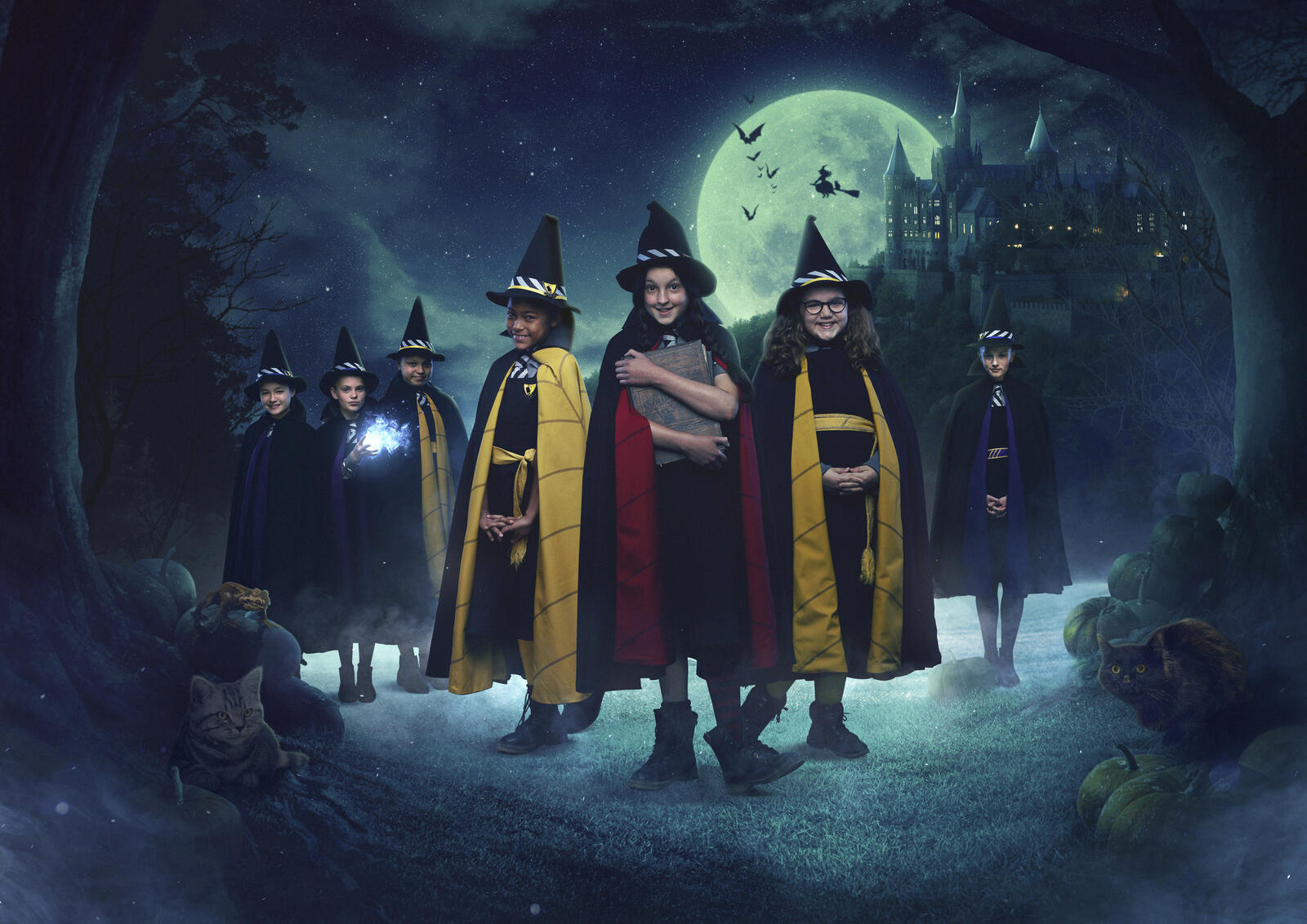 Wallpapers The Worst Witch movies TV show on the desktop