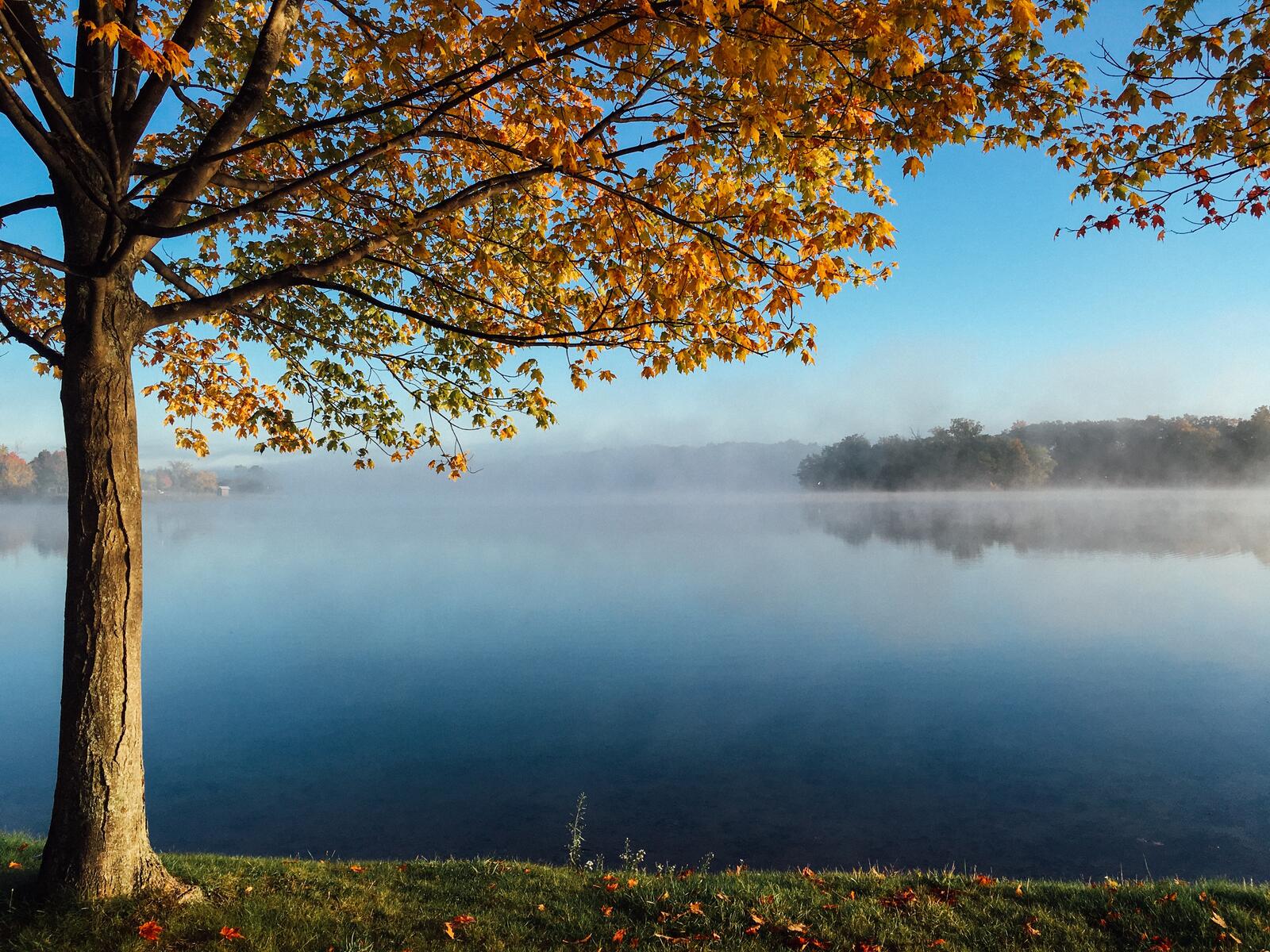 Бесплатное фото Утро на берегу озера
