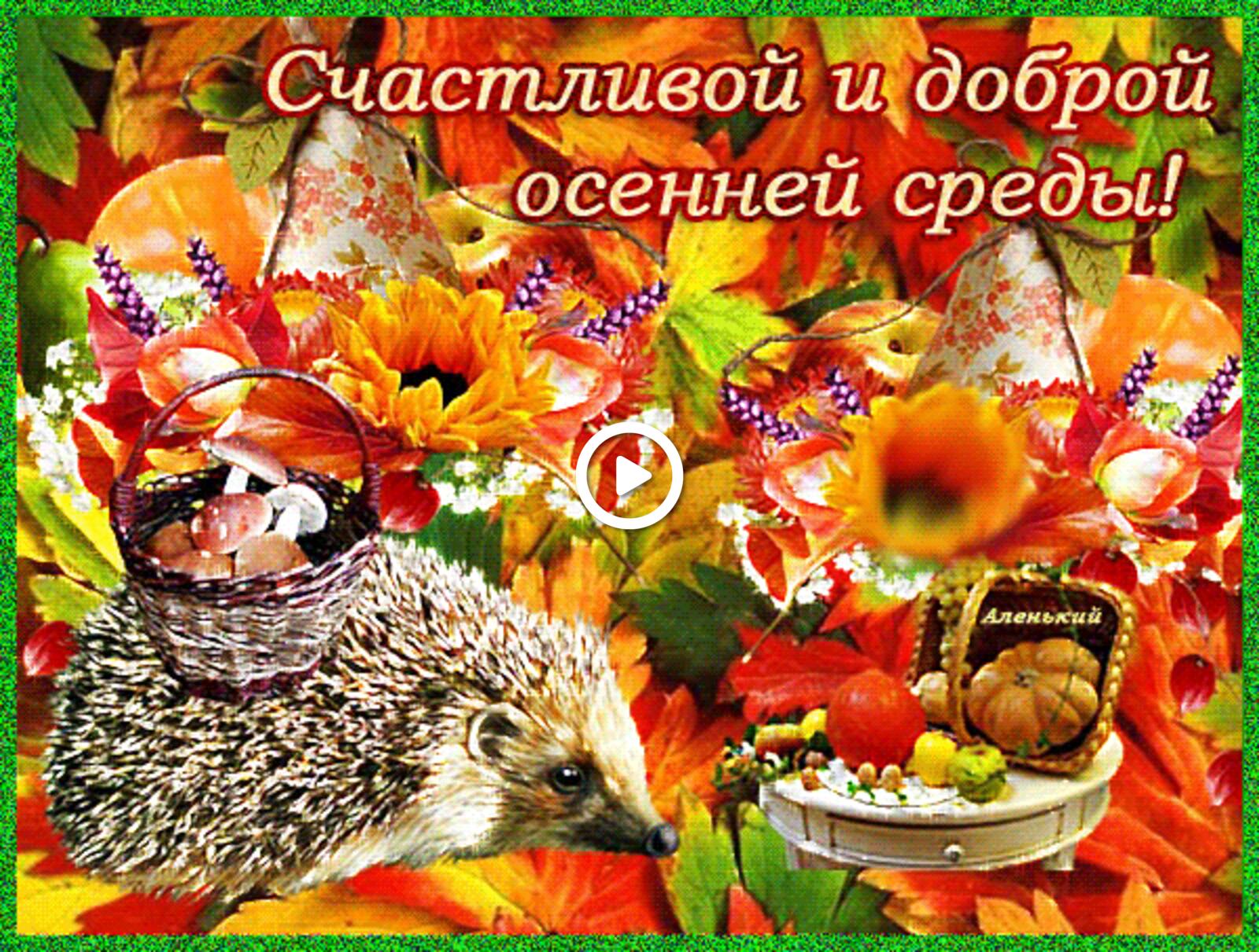 A postcard on the subject of hedgehog flowers good fall wednesday morning happy medium cards for free