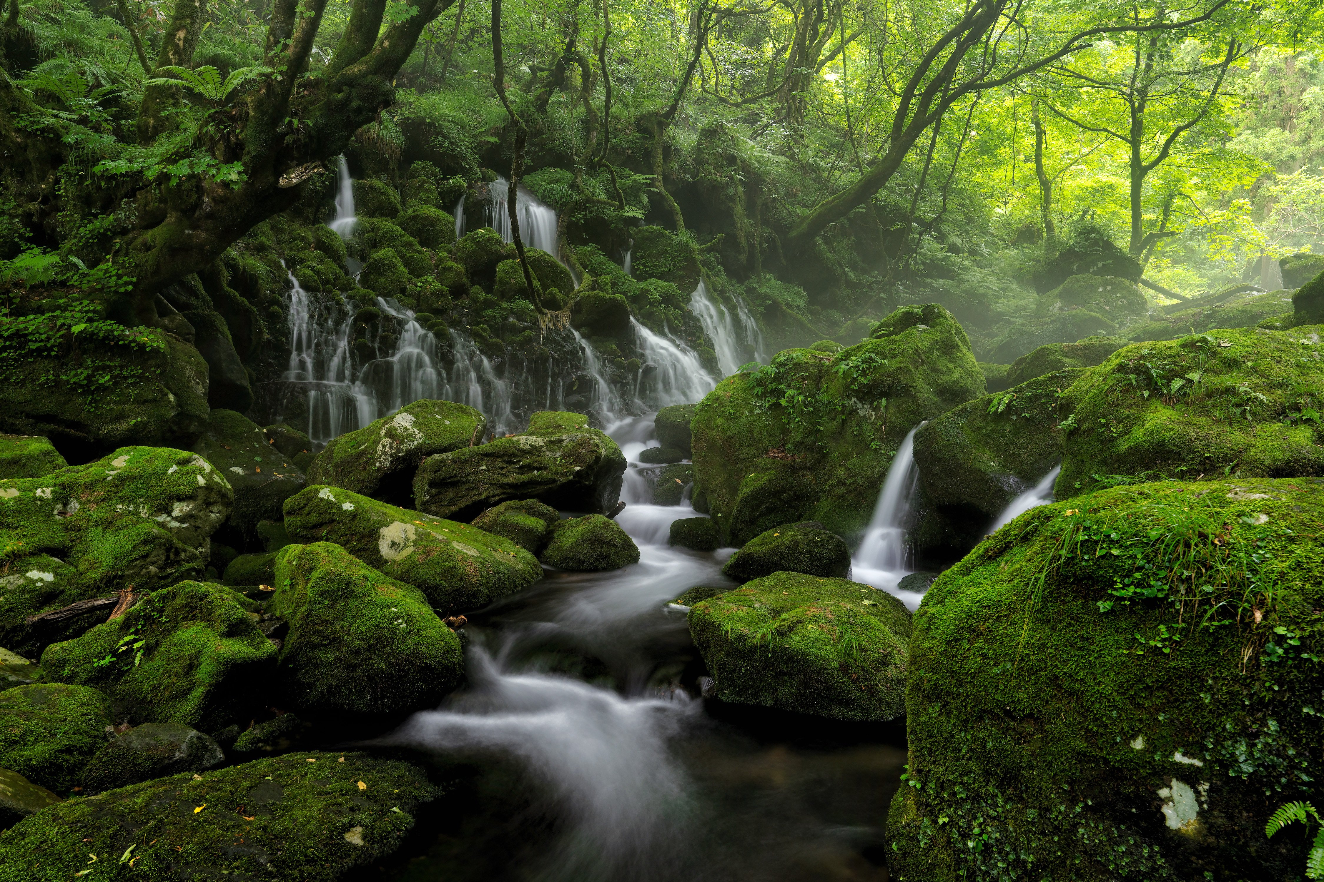 Фото бесплатно природа, каменистый ручей, туман