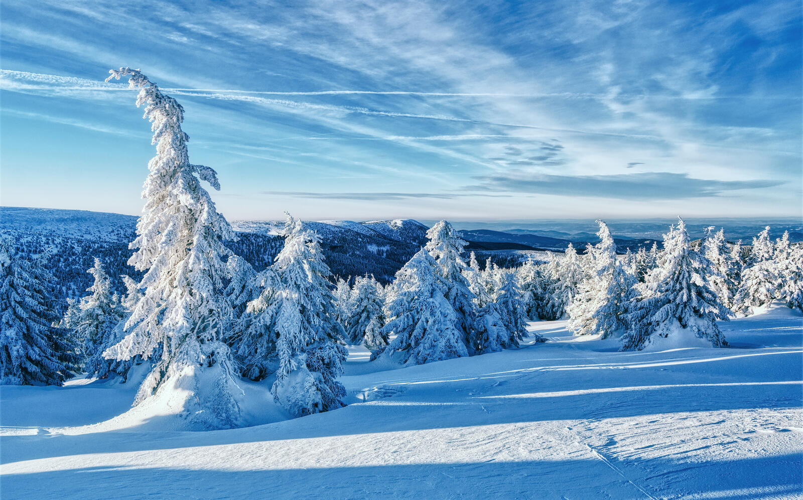 Обои Jeseniky Mountains Czech Republic зима на рабочий стол