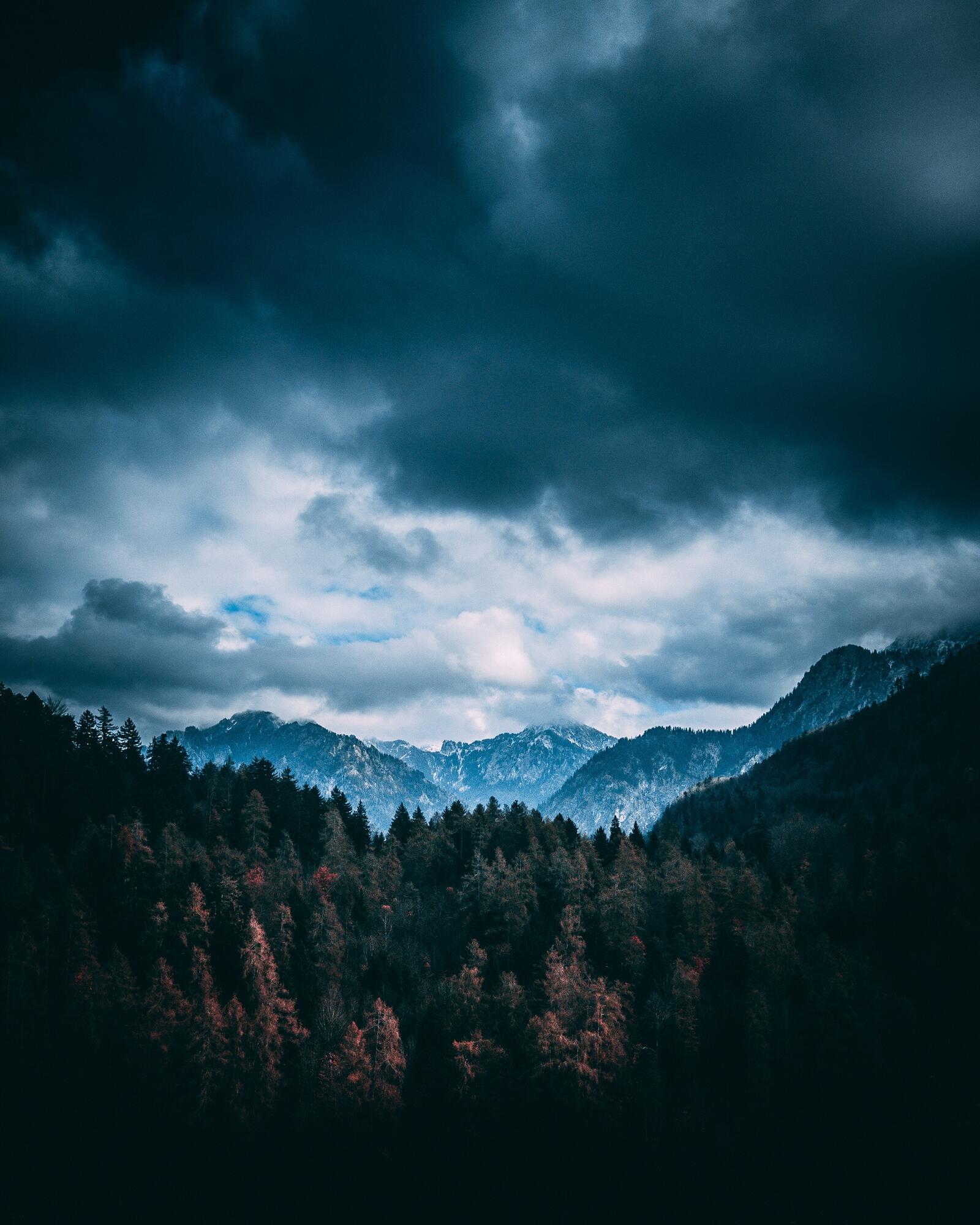 Бесплатное фото Горы и лес
