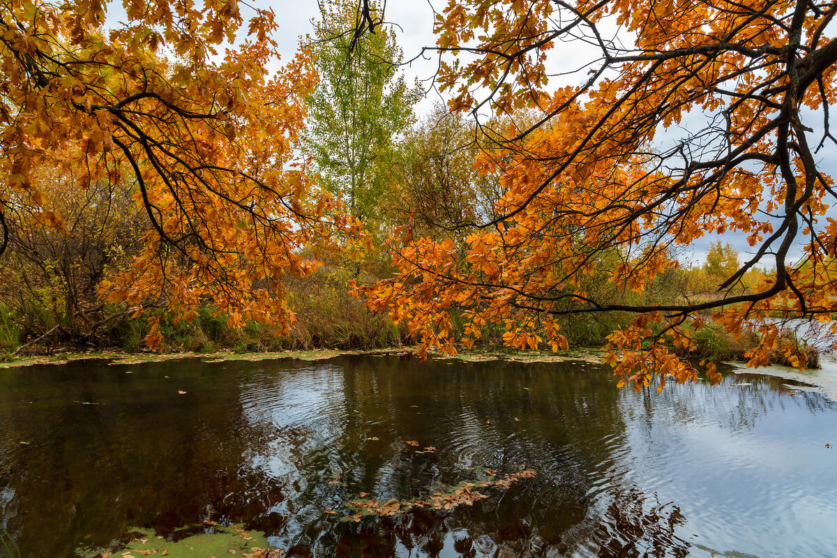 湖面上的秋天