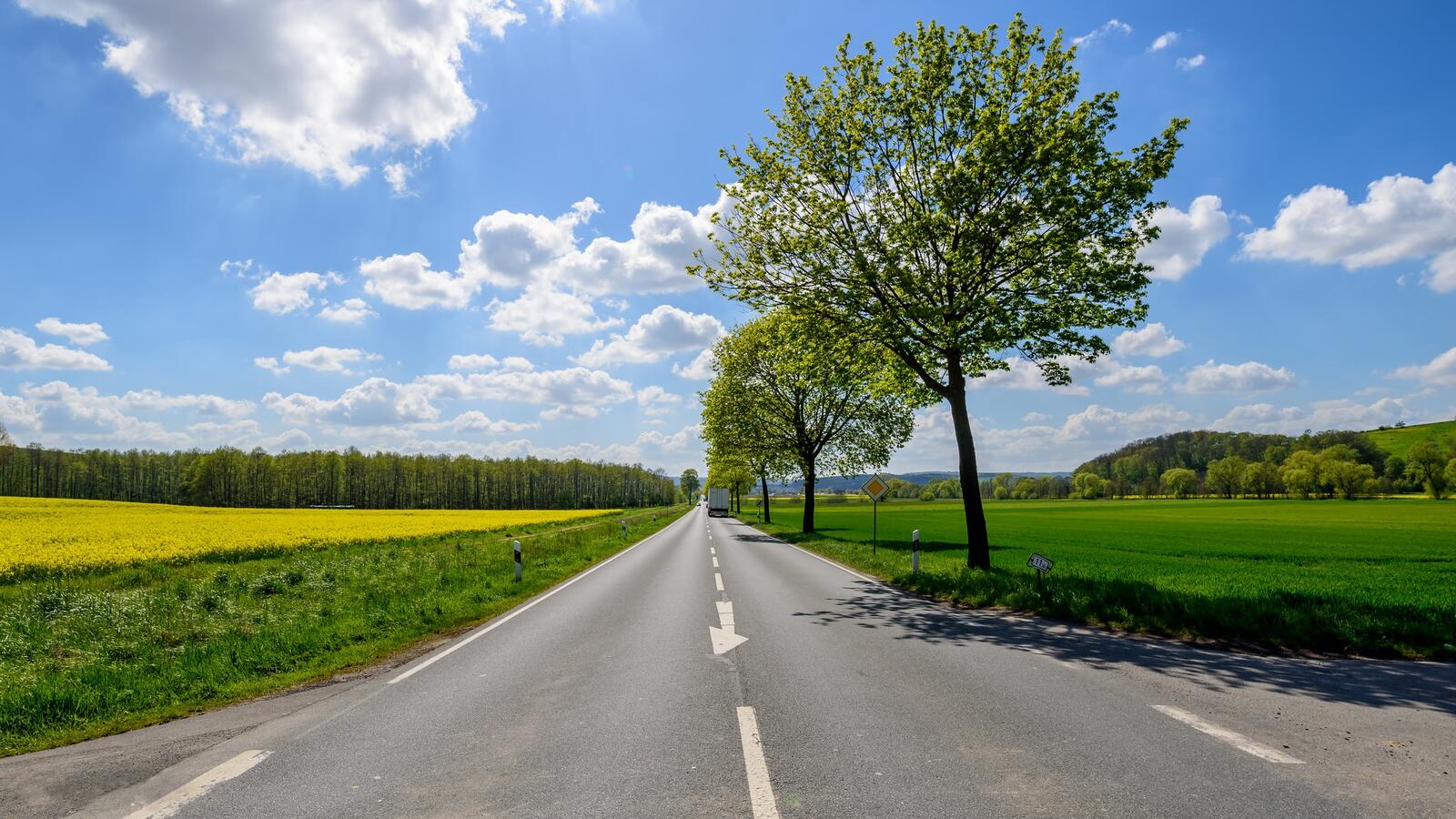 Wallpapers landscapes paved road field on the desktop