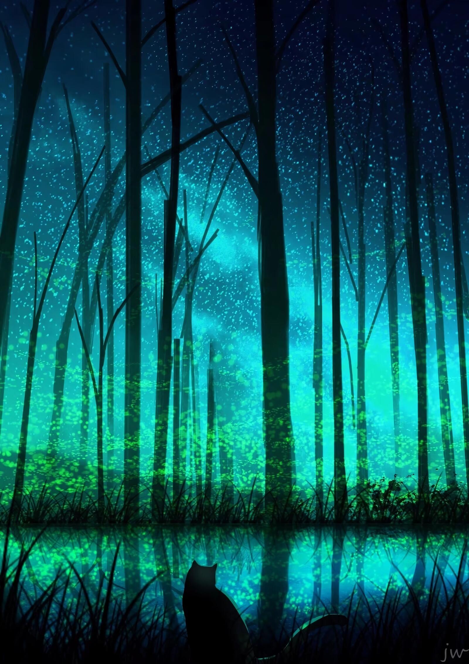 Бесплатное фото Черный кот в волшебном лесу