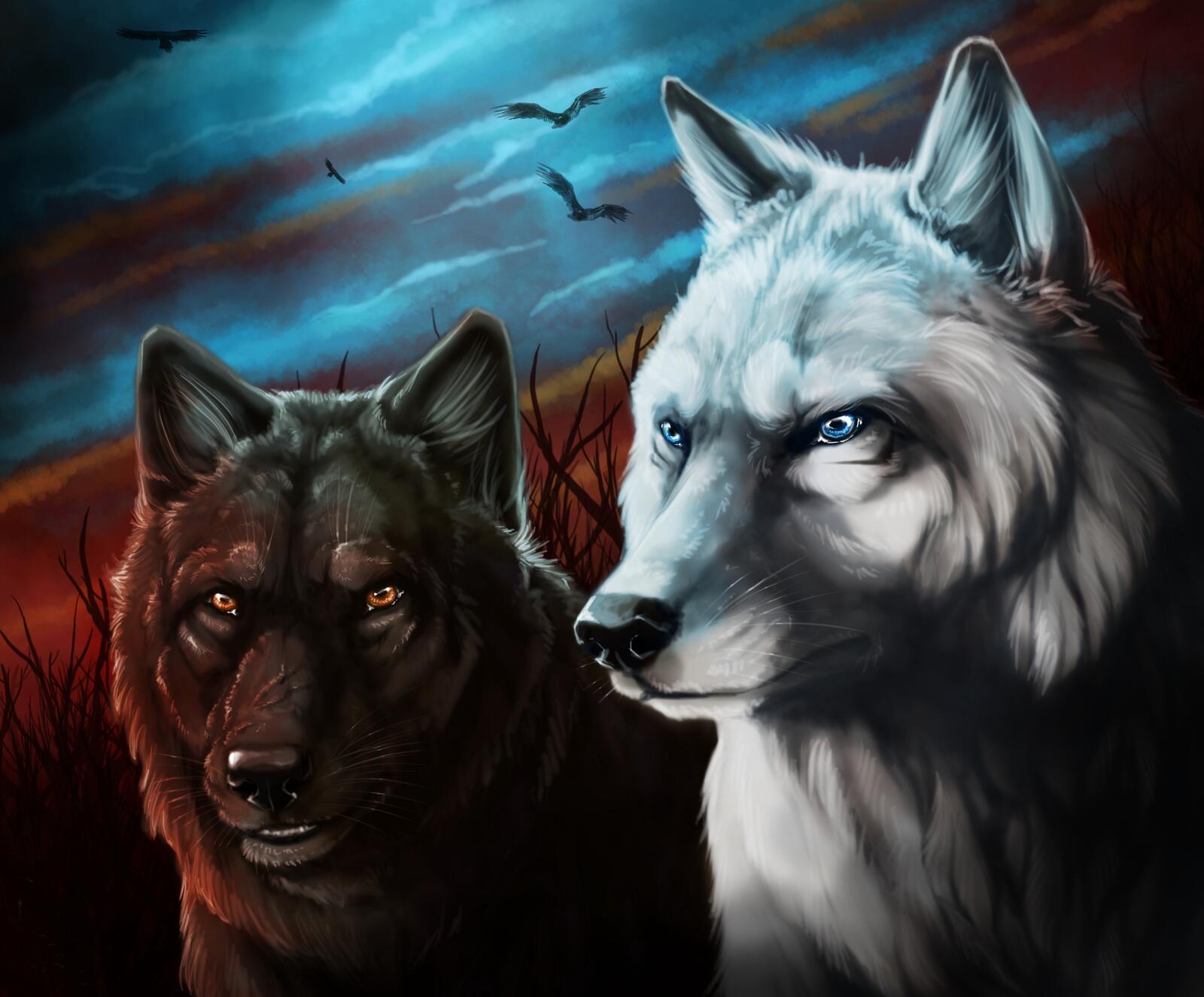 Обои волки волк фантазия на рабочий стол