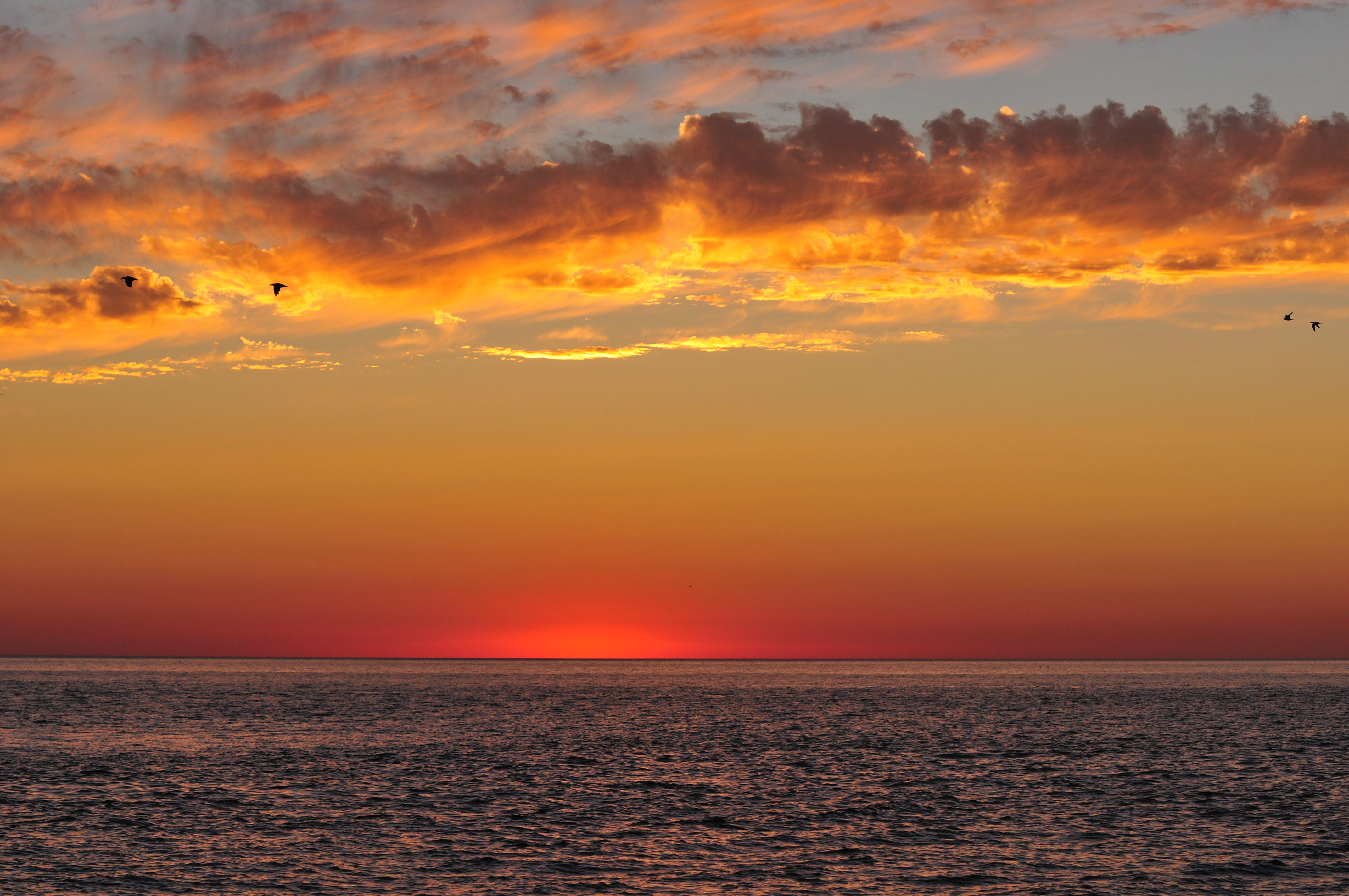 Photo free sunset beach, horizon, sky