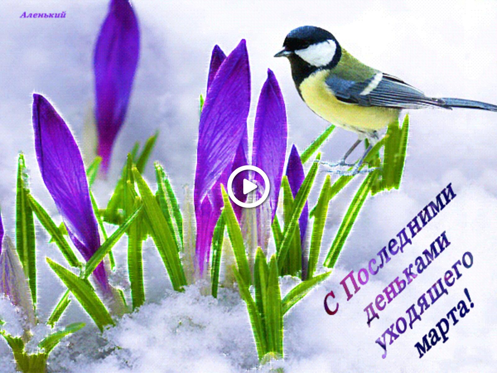 A postcard on the subject of birdie last day of march flowers for free