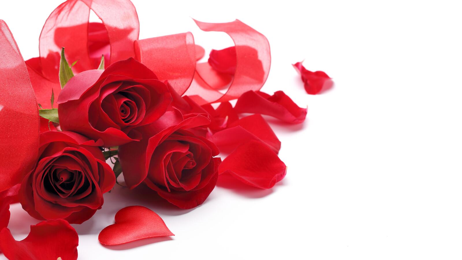 桌面上的壁纸红玫瑰壁纸 花束 花瓣
