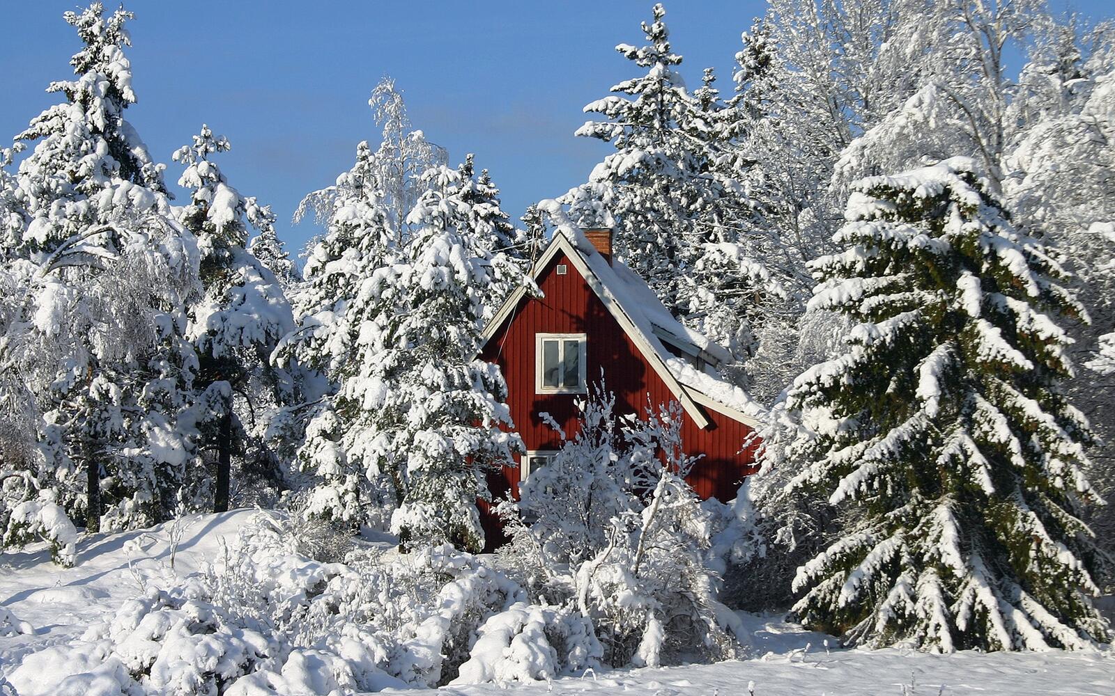 Обои домик снег деревья на рабочий стол