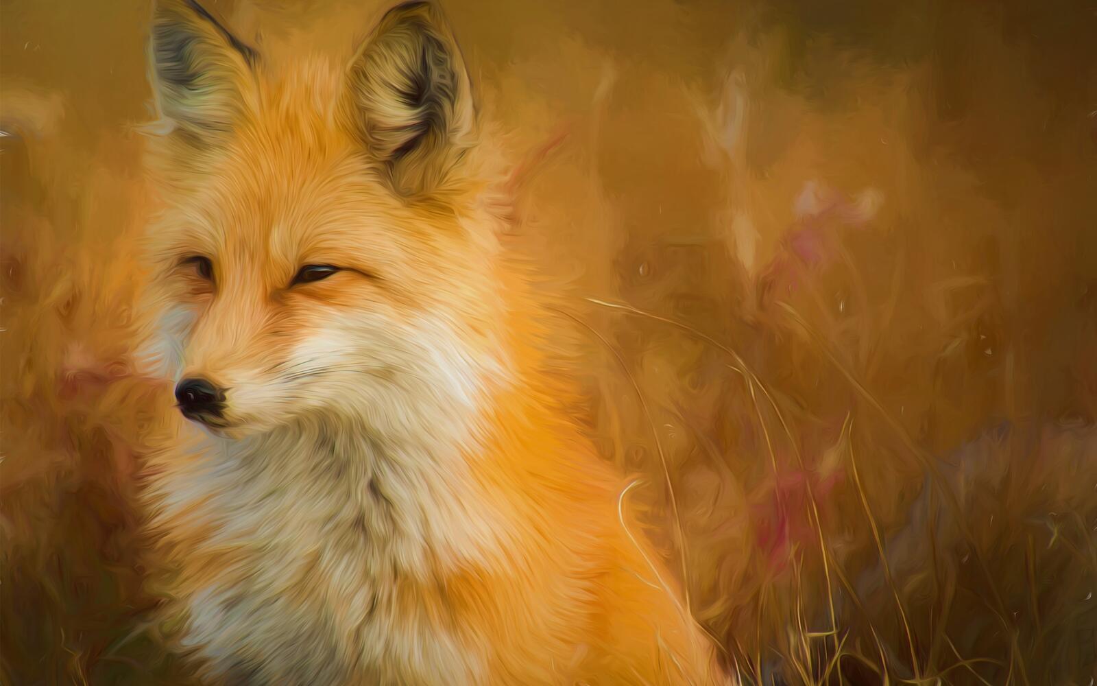 Wallpapers wallpaper fox painting artwork on the desktop