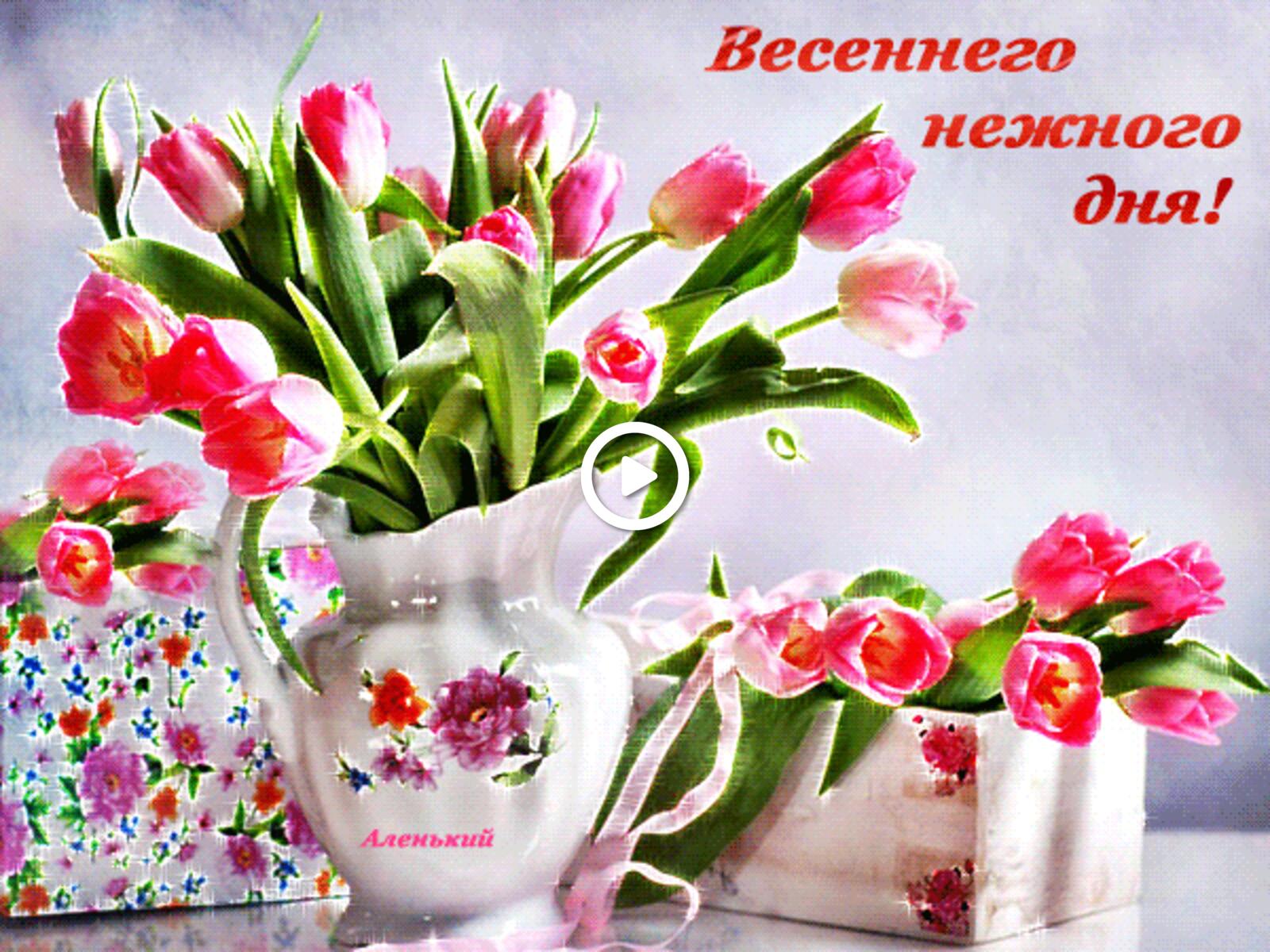 A postcard on the subject of have a nice spring day good afternoon beautiful spring pictures flowers for free