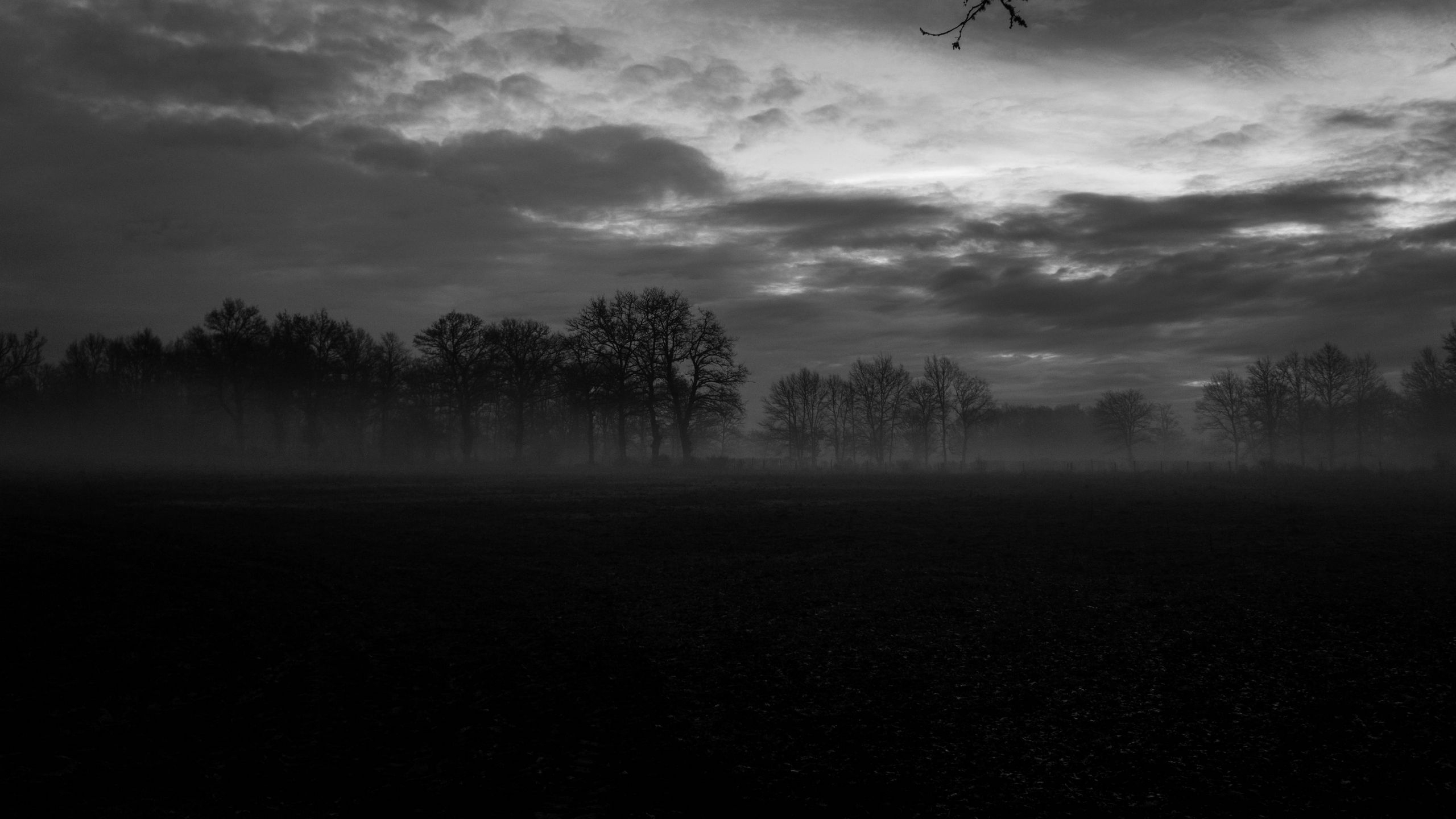 Photo free landscape, monochrome, fog