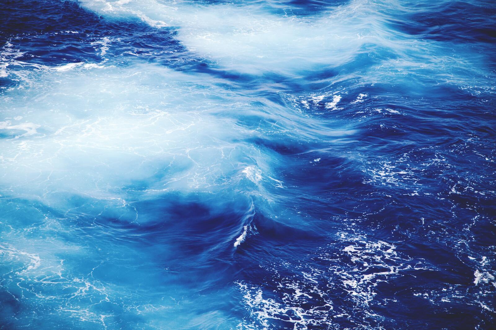 Бесплатное фото Морская глубина