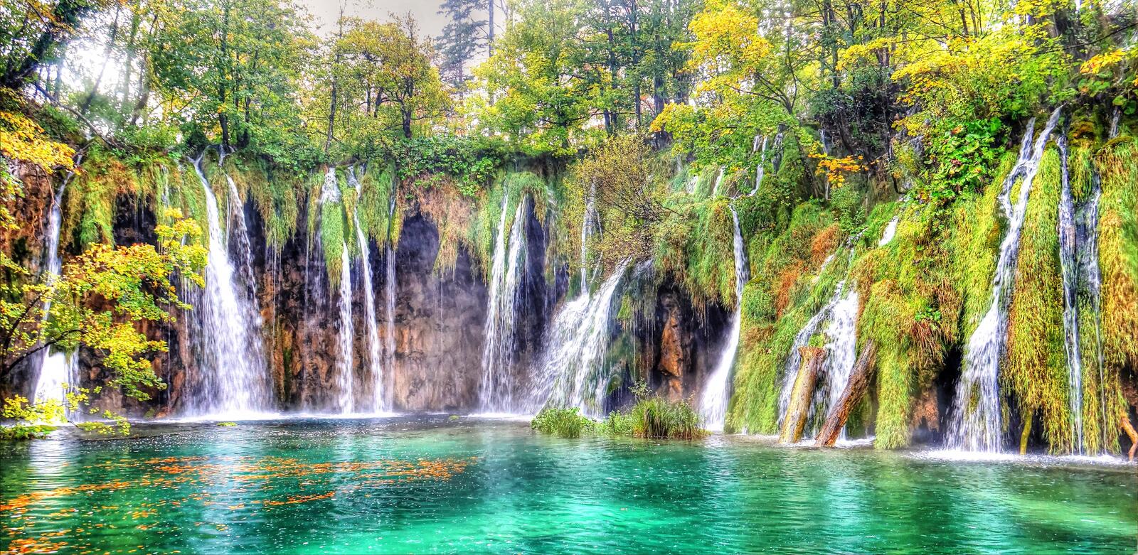 Wallpapers pond Plitvice Lakes trees on the desktop