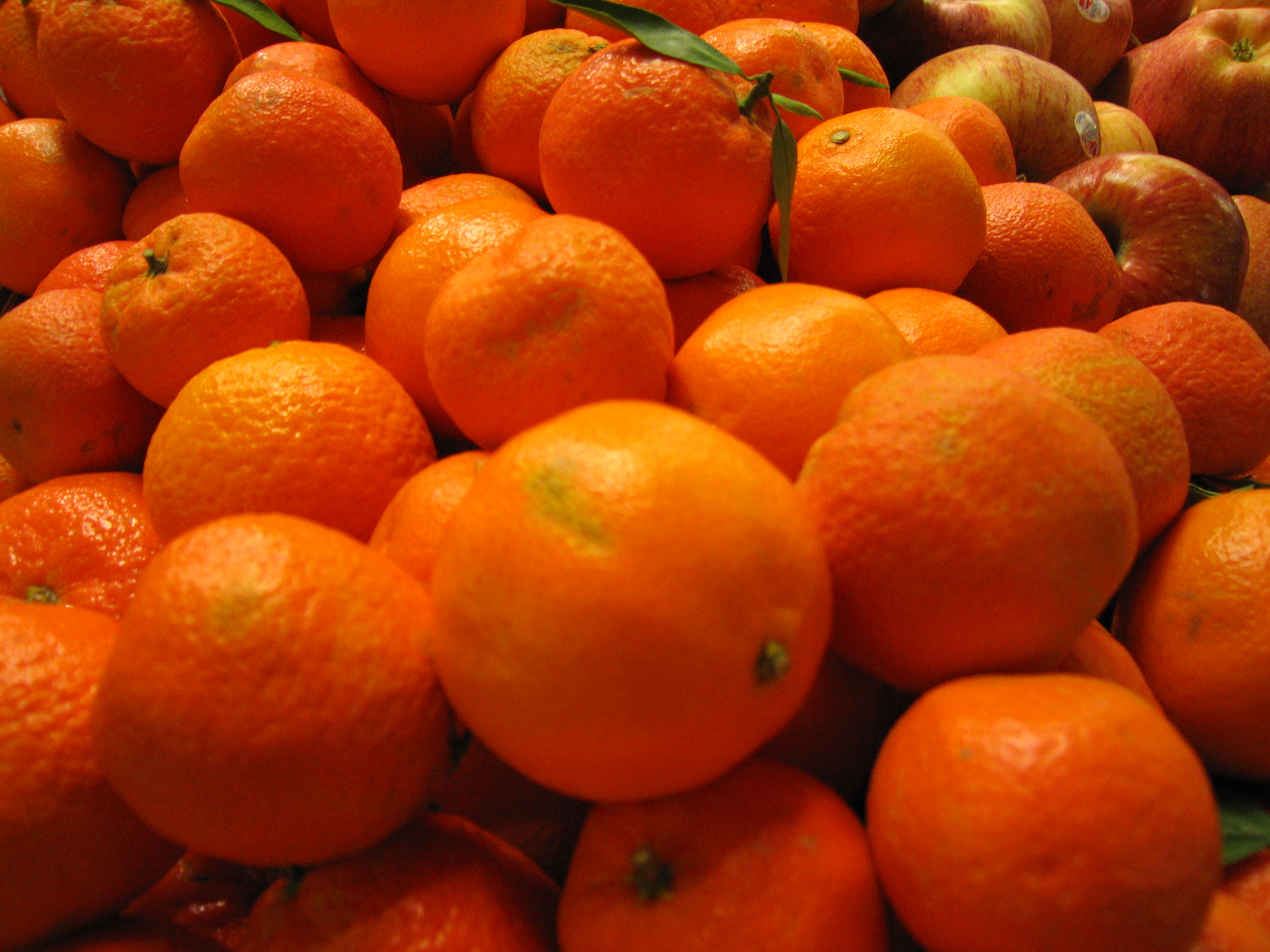 桌面上的壁纸橘子 桔子堆 新鲜柑橘