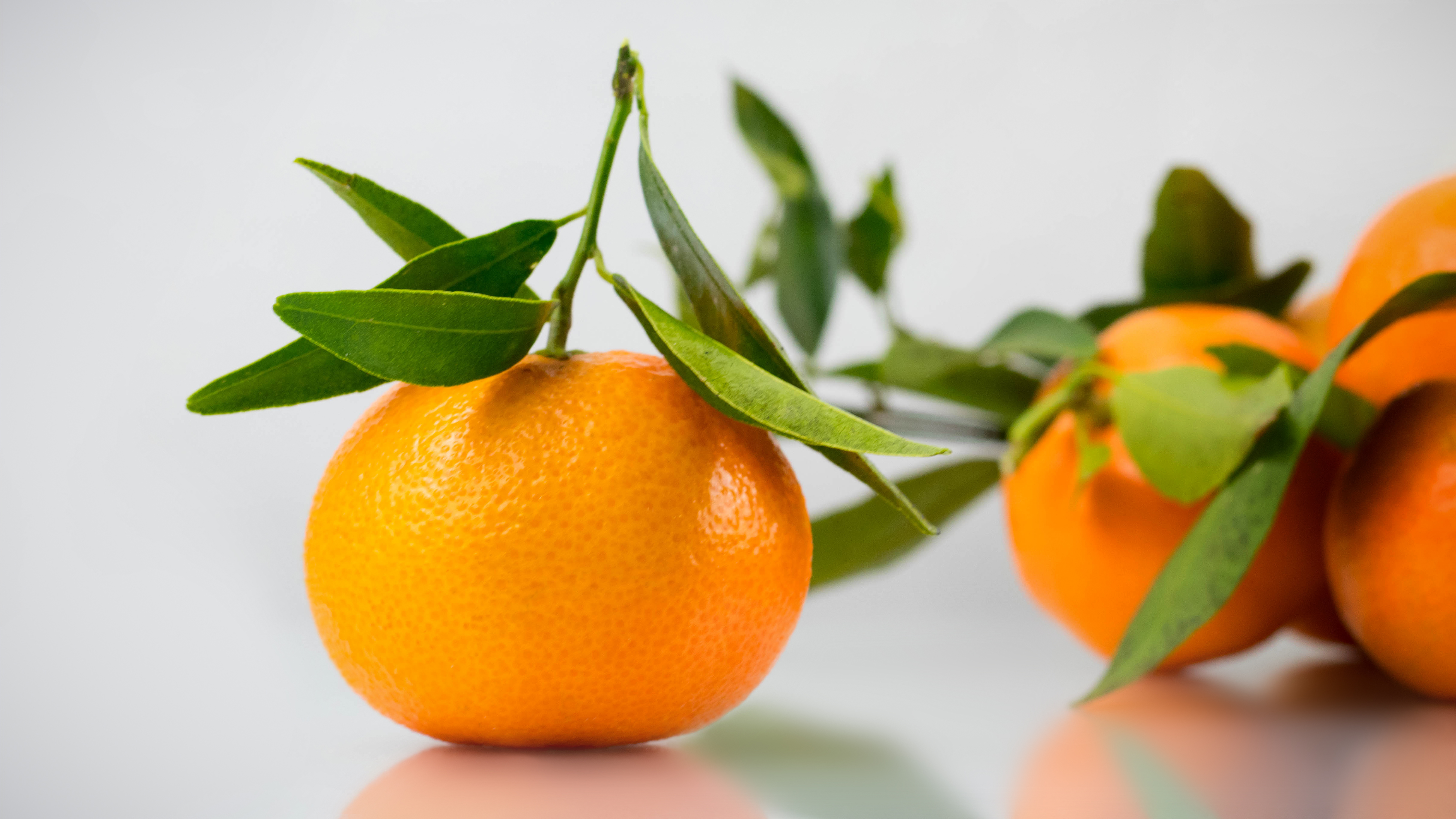 桌面上的壁纸产品 橘子 水果