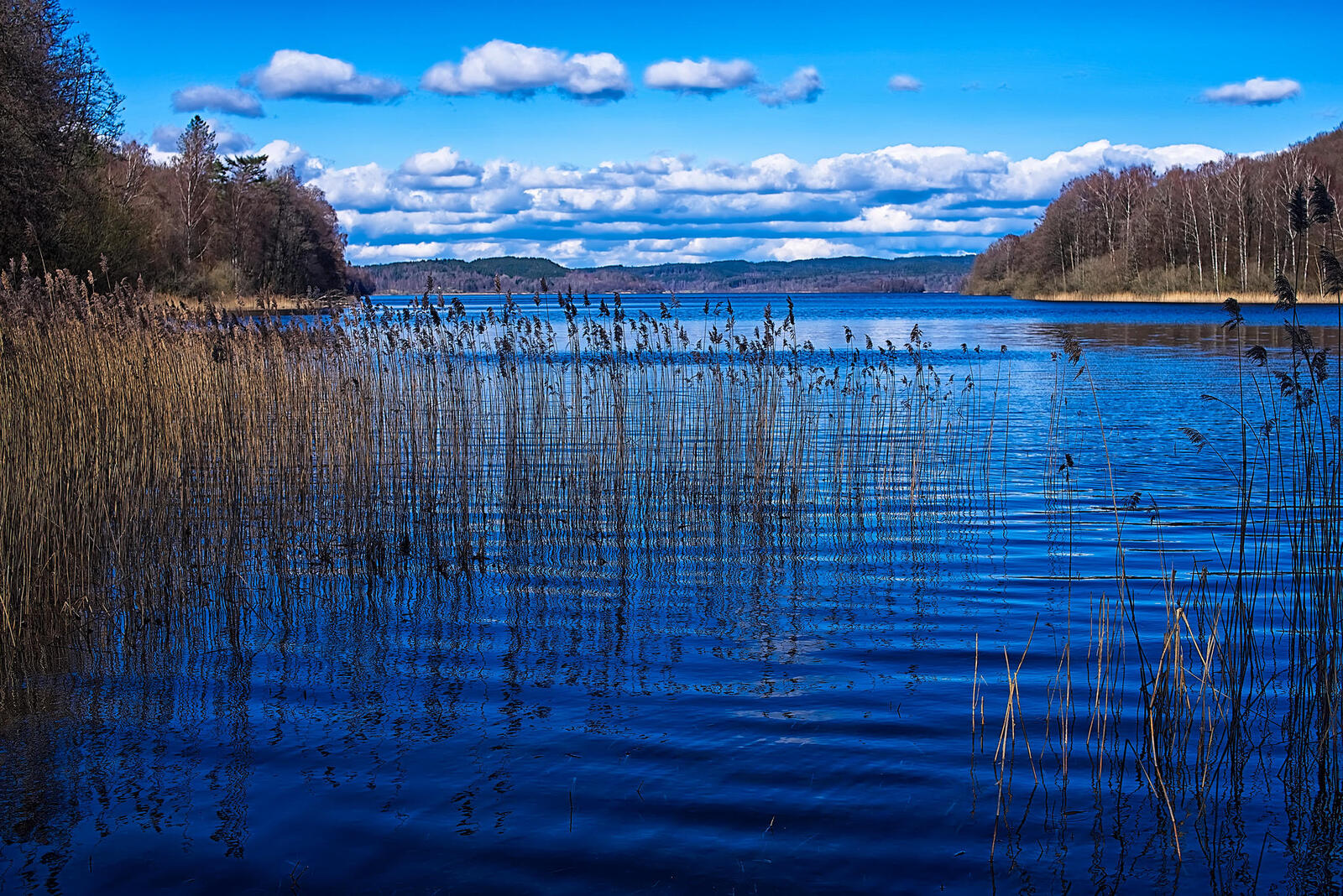 Обои Озеро Фэврен Варберг Швеция на рабочий стол