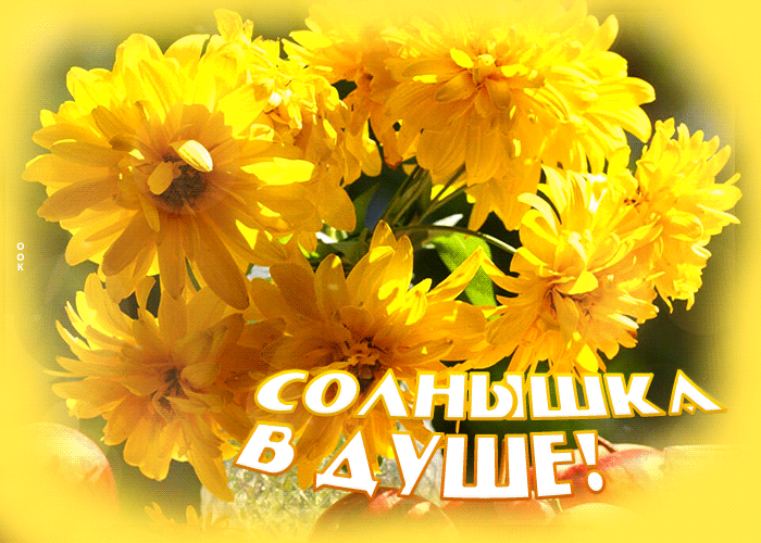 Sunshine in the shower with yellow flowers
