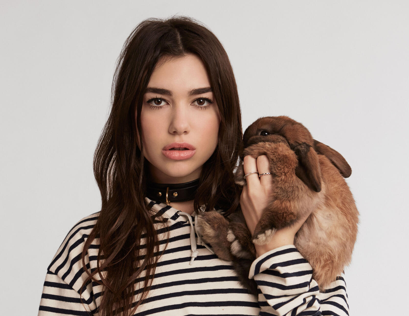 Free photo Dua Lipa with a rabbit on her shoulder