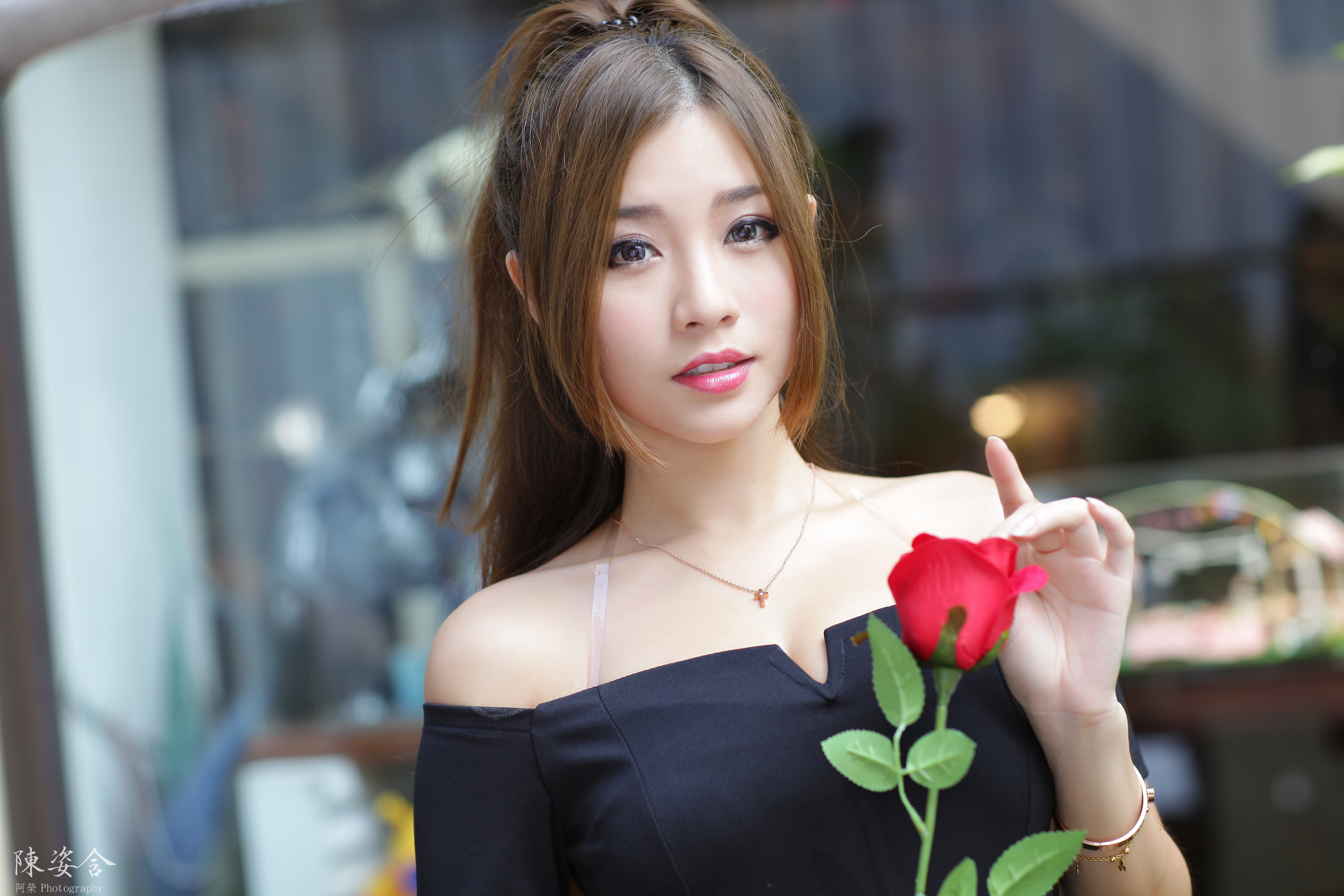 Photo free girls, brown haired, roses