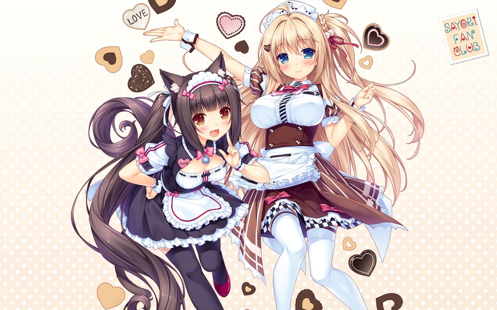Wallpapers maid apron girl cat on the desktop