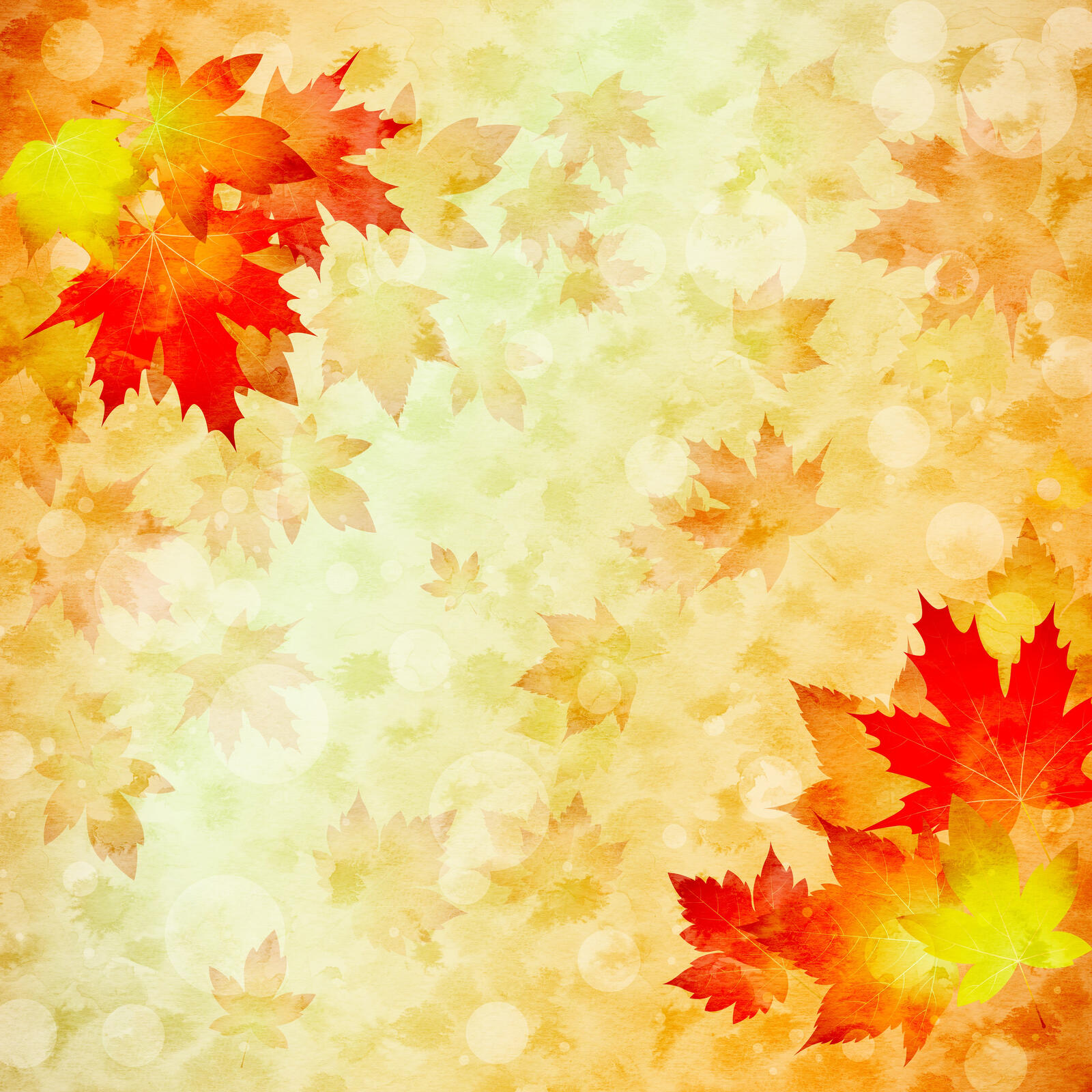 桌面上的壁纸秋叶 秋季 贺卡模板