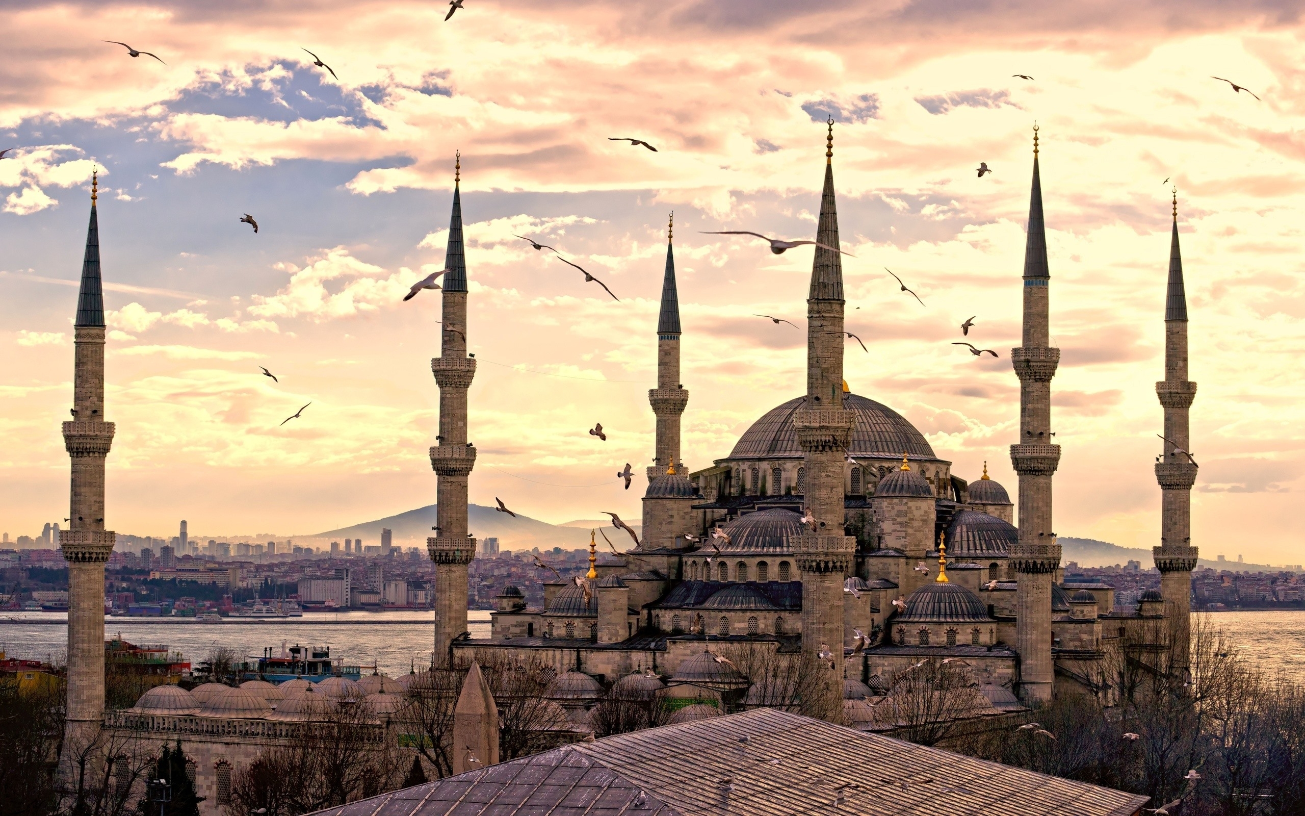 Фото бесплатно Турция, Стамбул, прекрасная