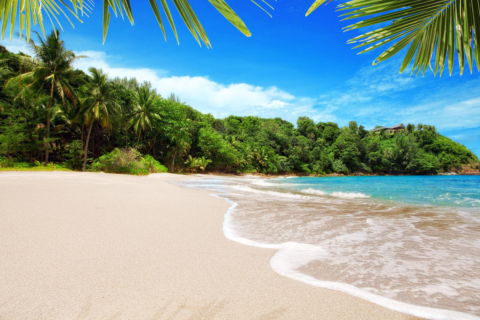 Обои пляж тропики пальмы на рабочий стол