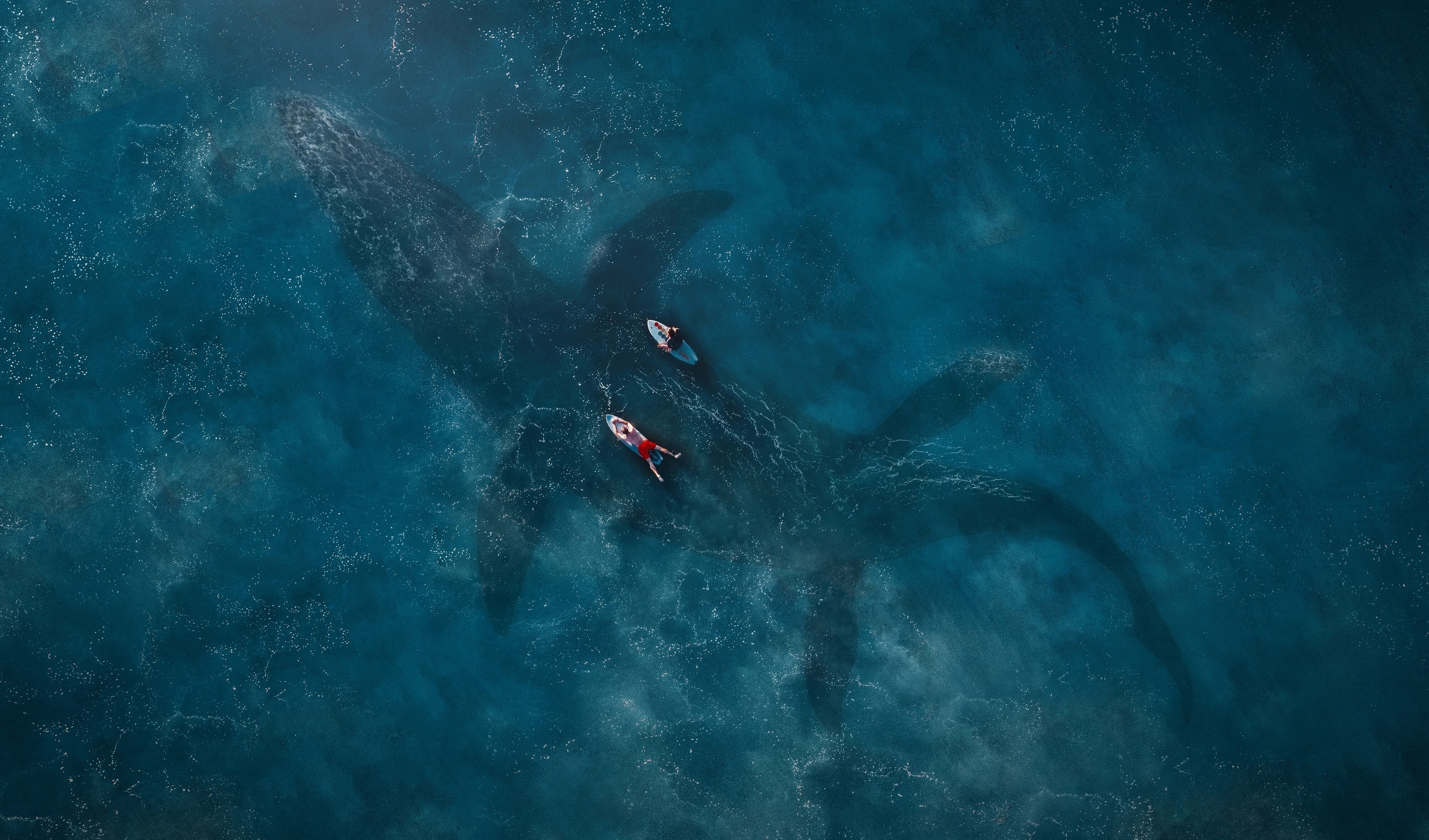 Photo free underwater, ocean, mosasaurus