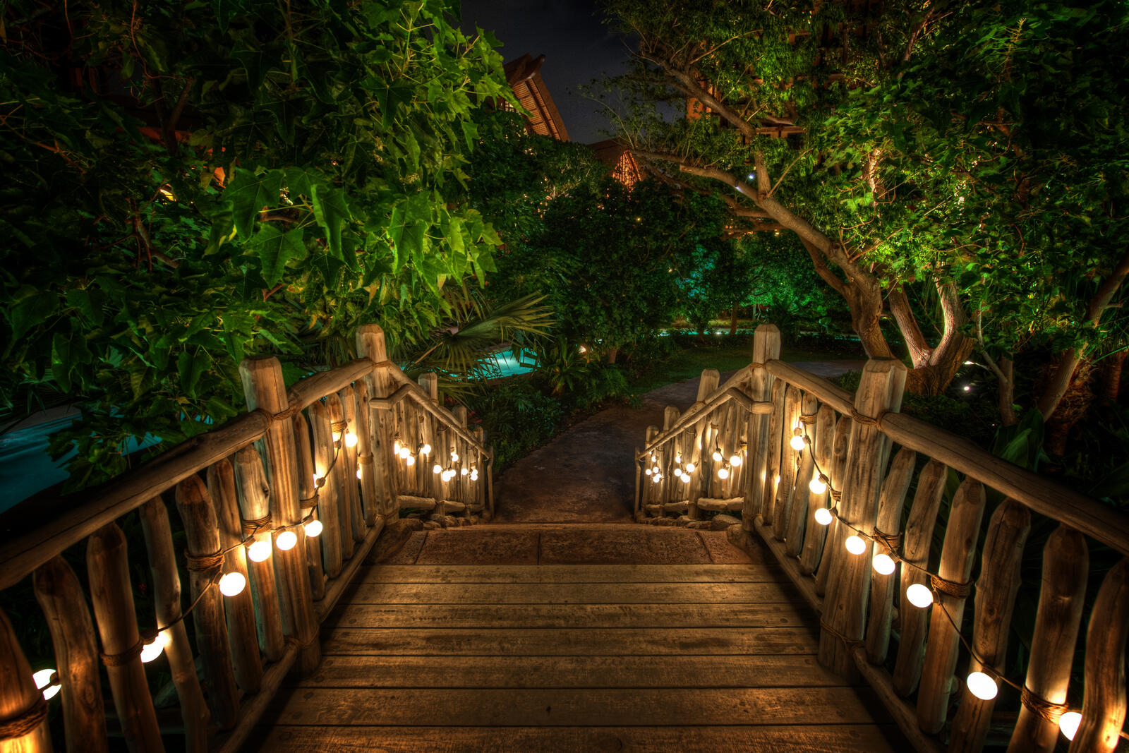 Wallpapers Bridge over the paired jungle Hawaii night on the desktop