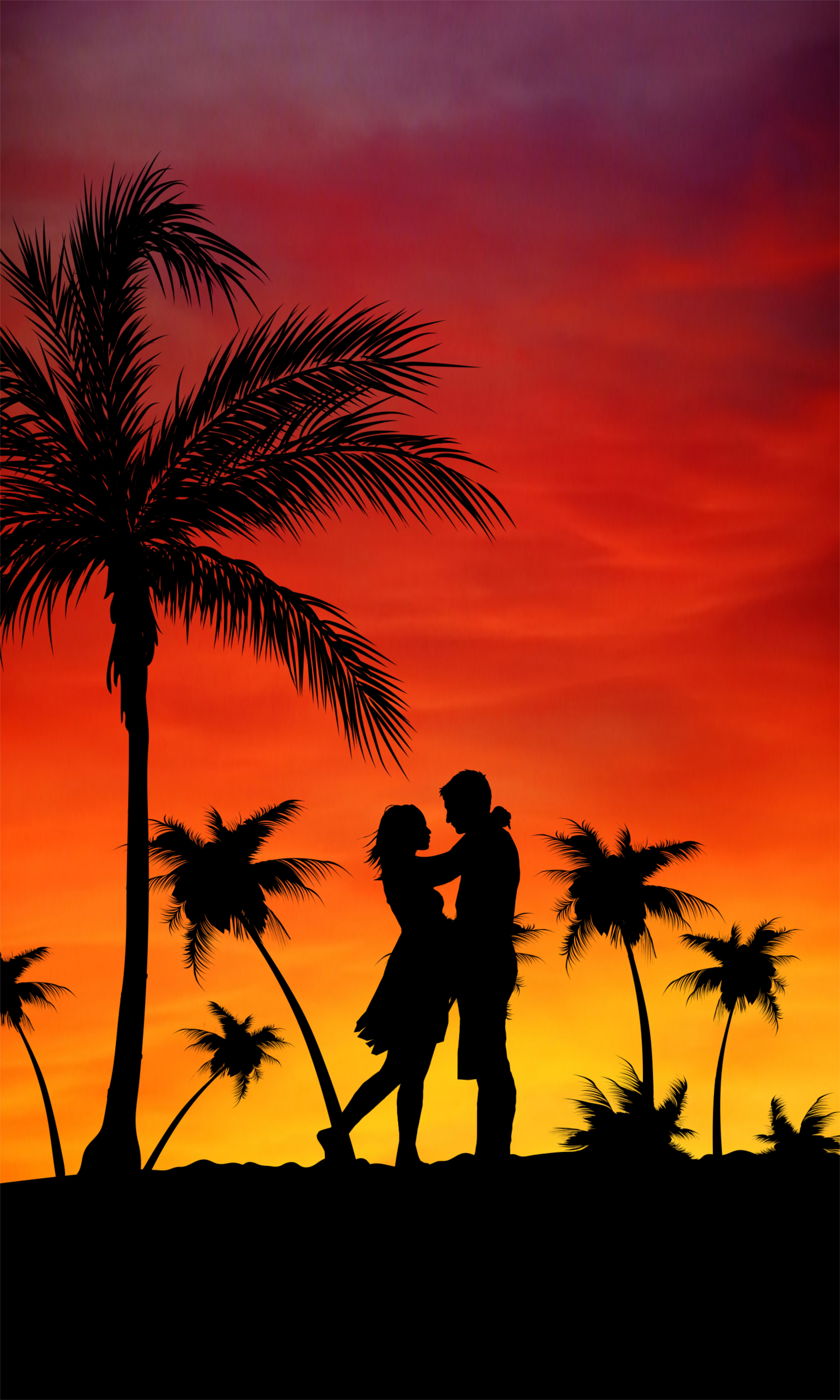 免费照片棕榈树和爱情