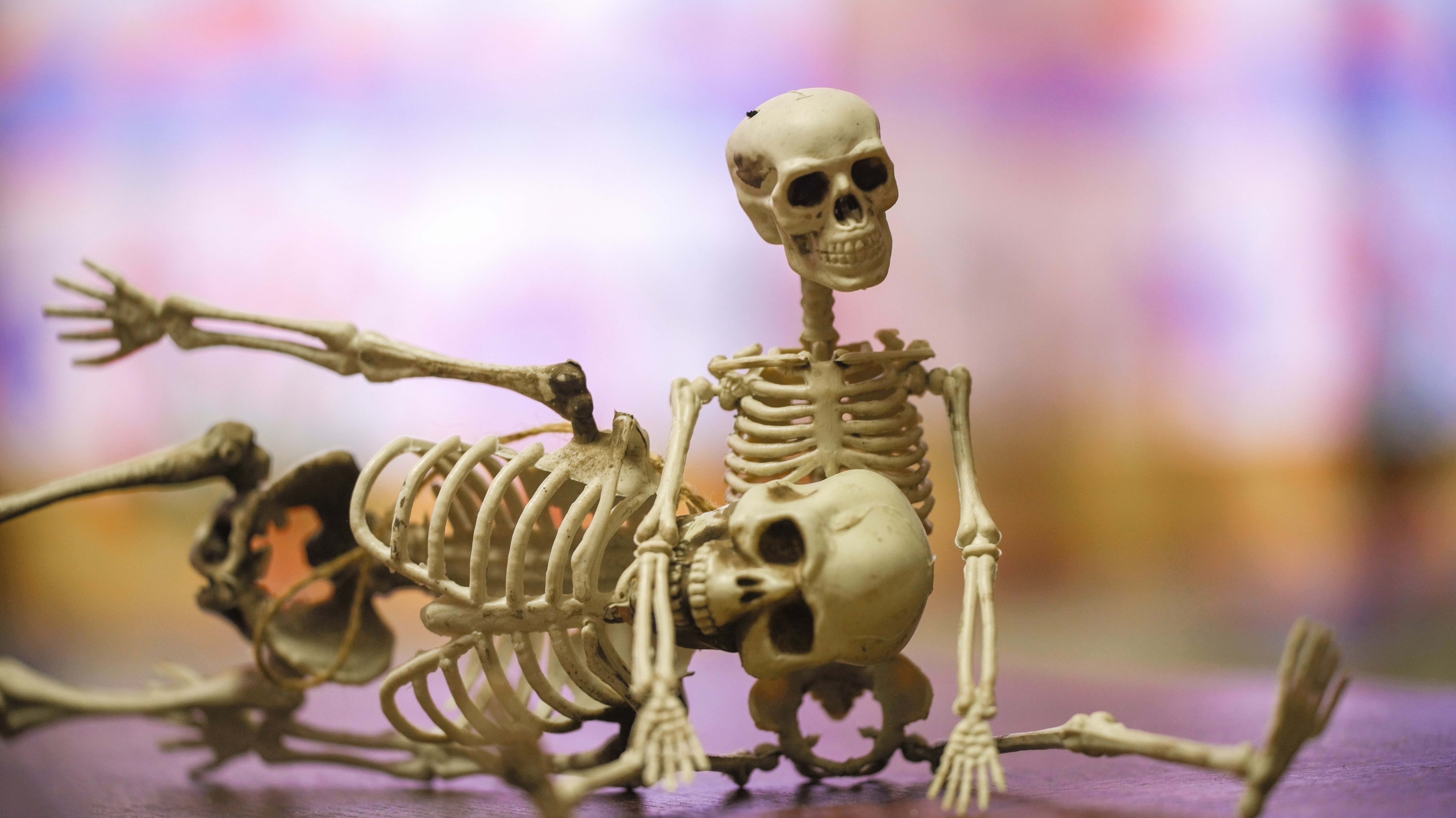 Люди скелеты живые. Скелет. Скелет человека.