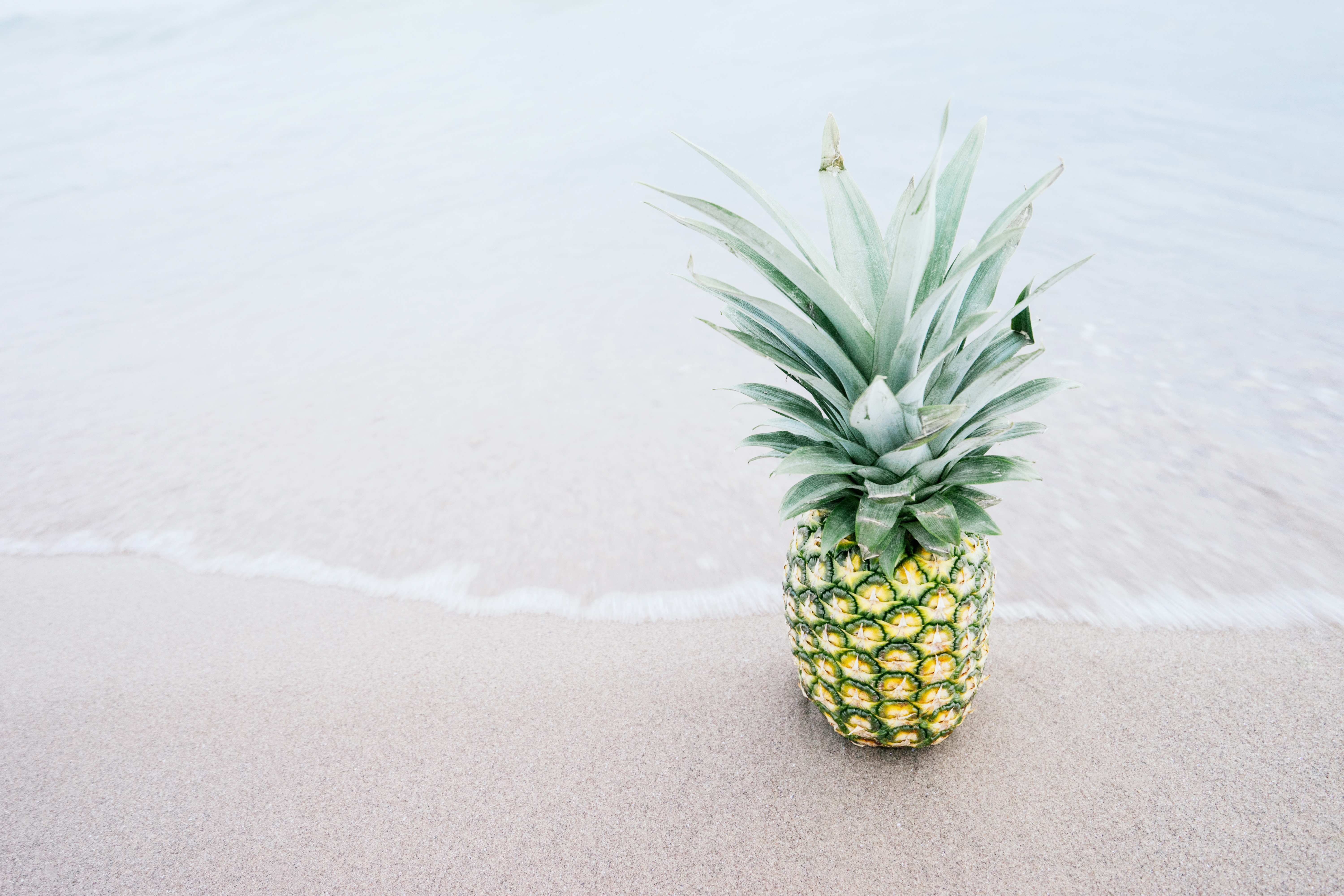 Free photo A pineapple on the seashore is washed by the waves