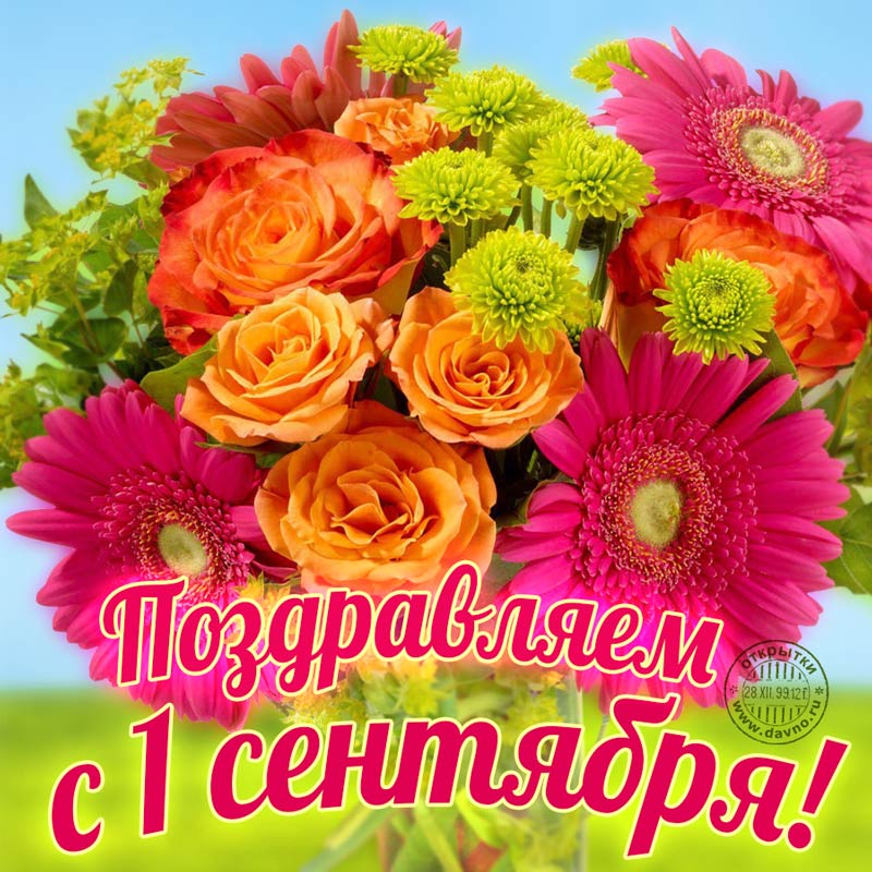 Postcard free bouquet, flowers, inscription